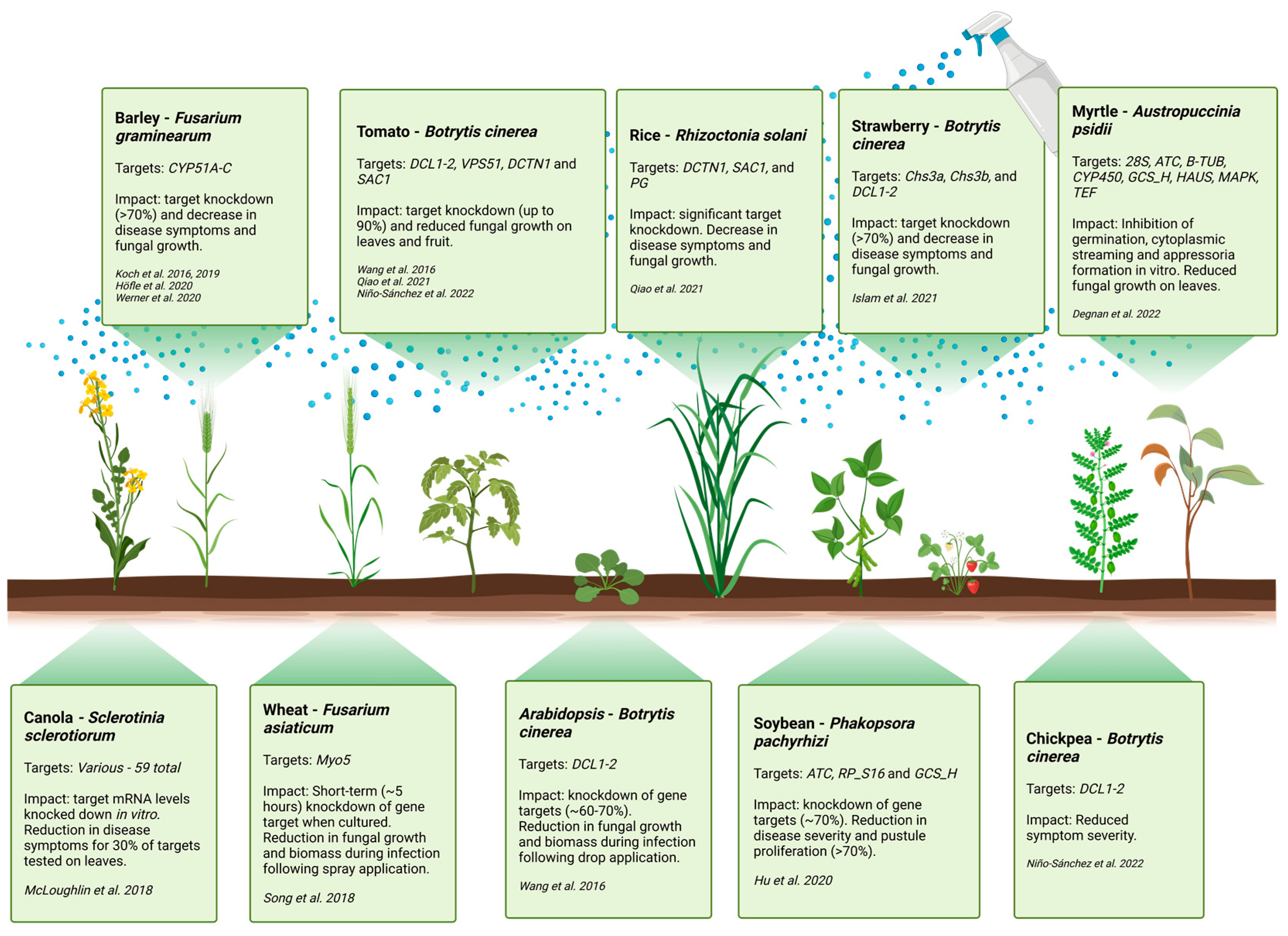 Ijms 24 12391 g002 Ijms 24 12391 g002