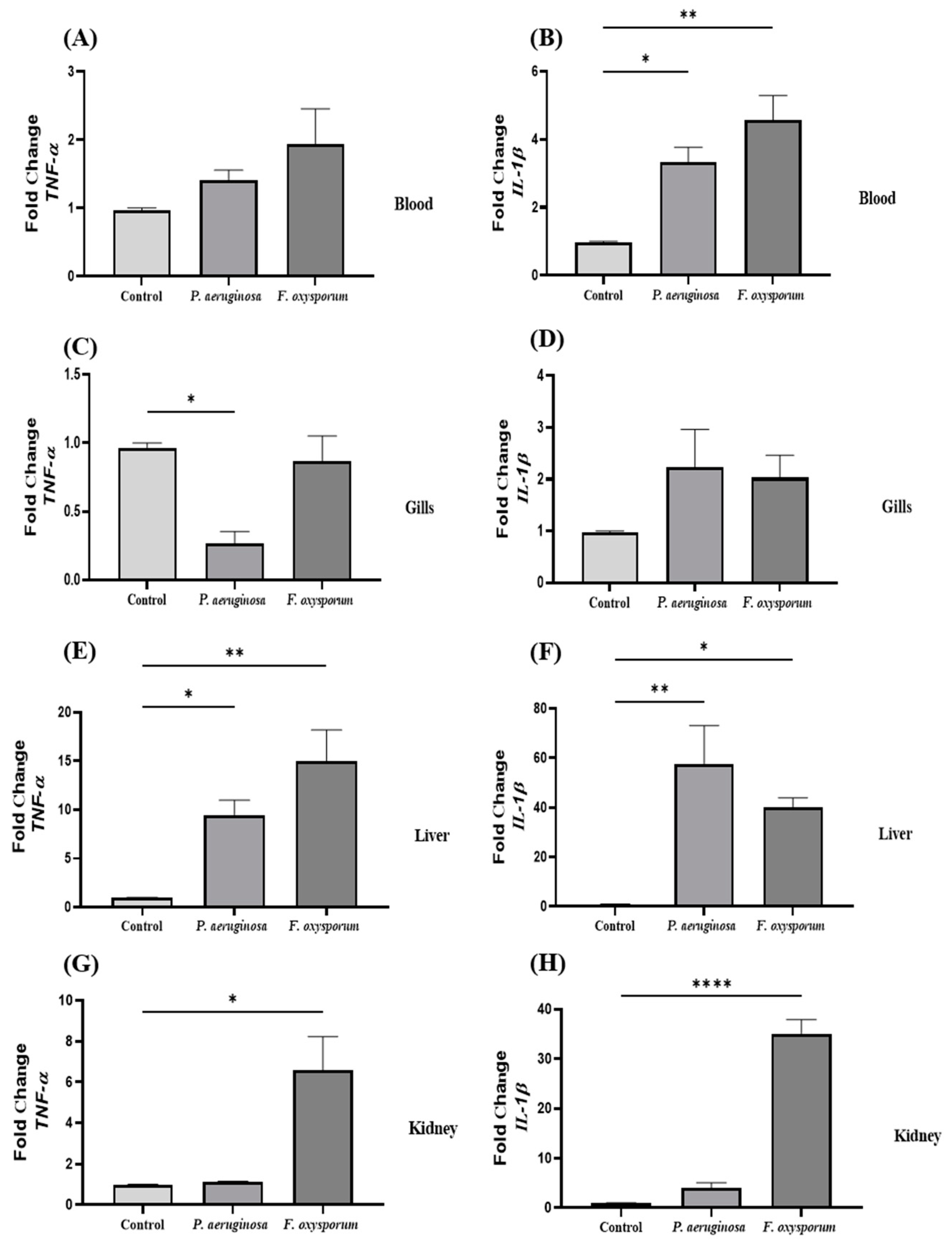 Ijms 24 12392 g002 Ijms 24 12392 g002