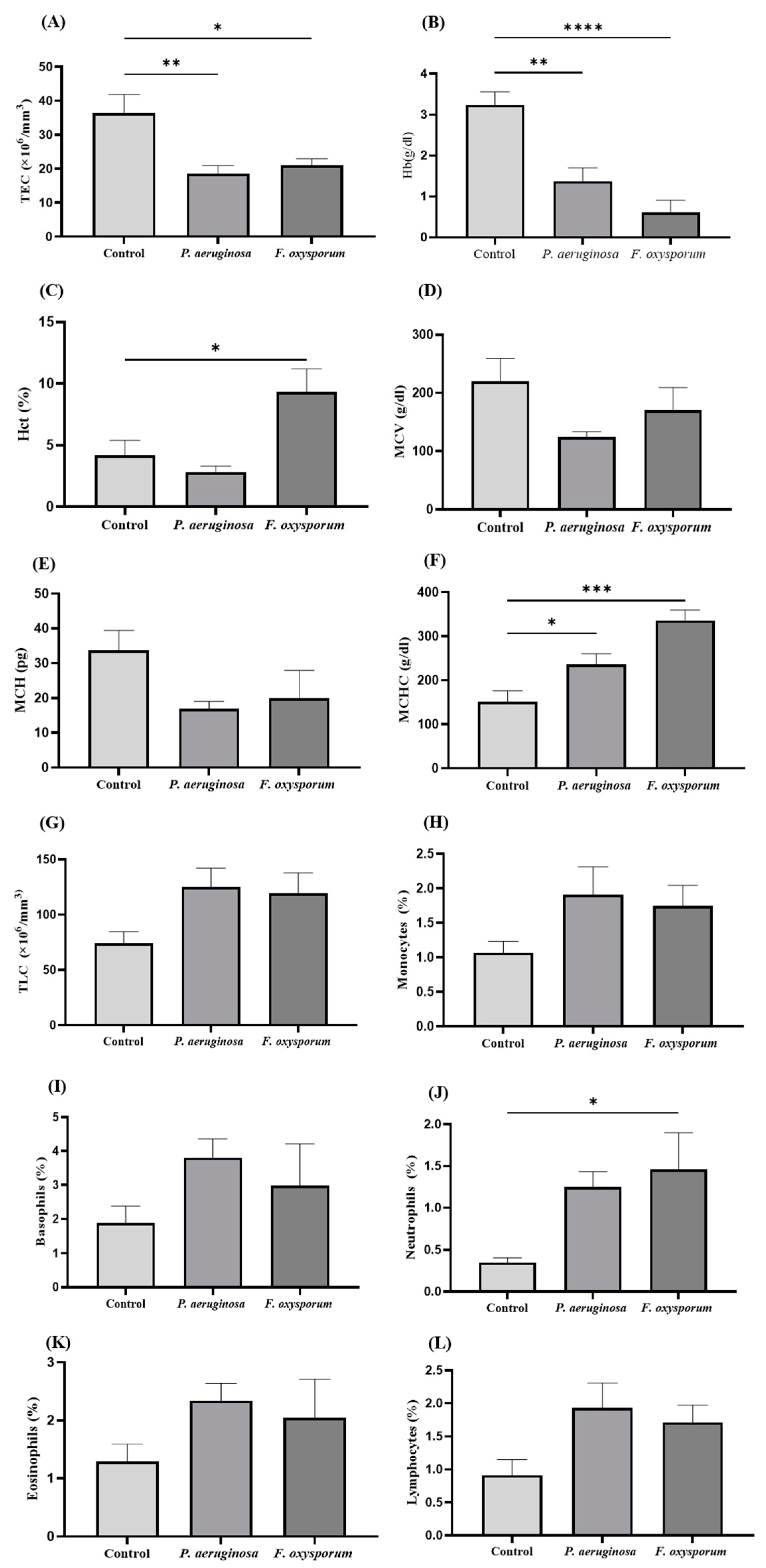 Ijms 24 12392 g003 Ijms 24 12392 g003