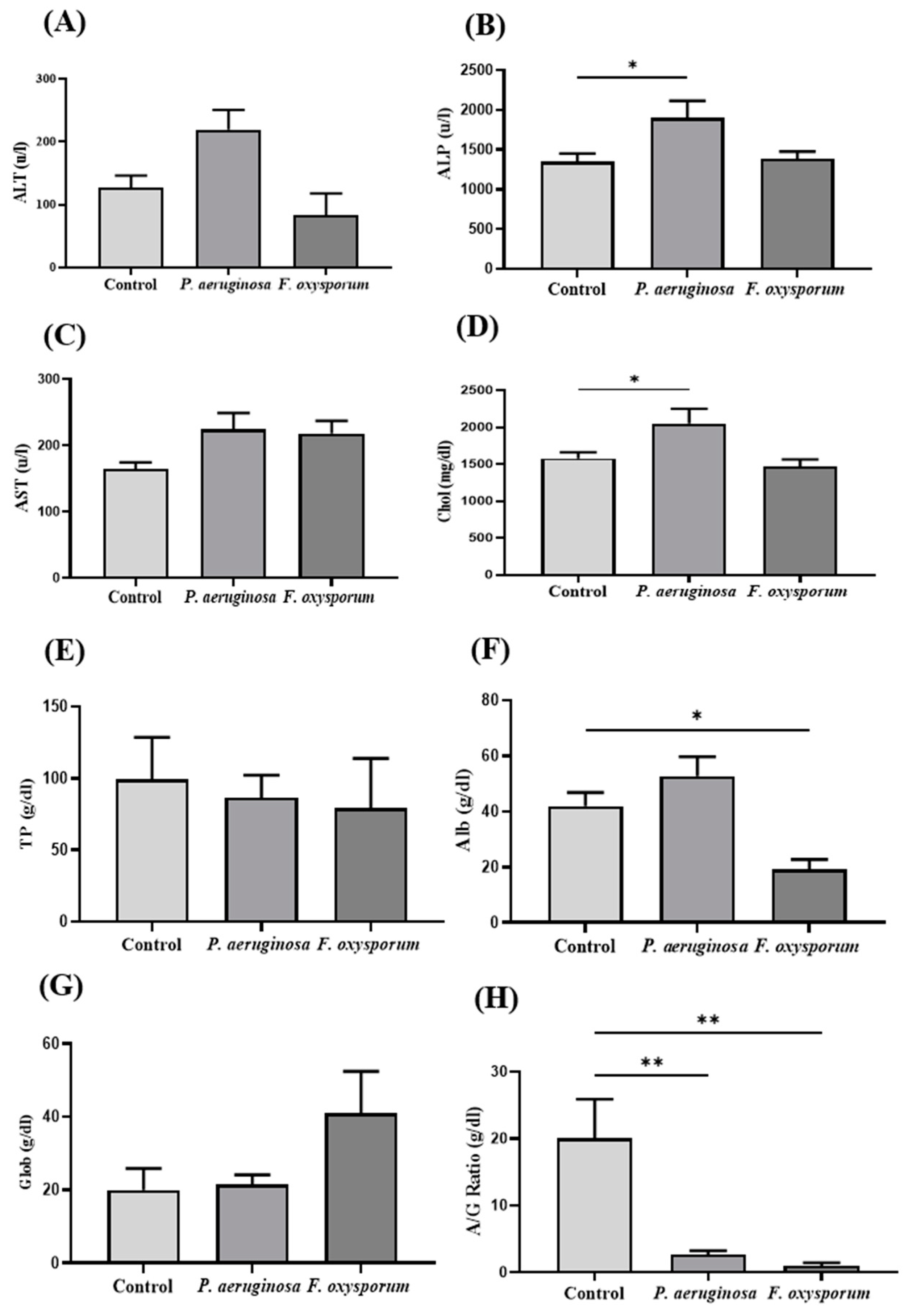 Ijms 24 12392 g004 Ijms 24 12392 g004