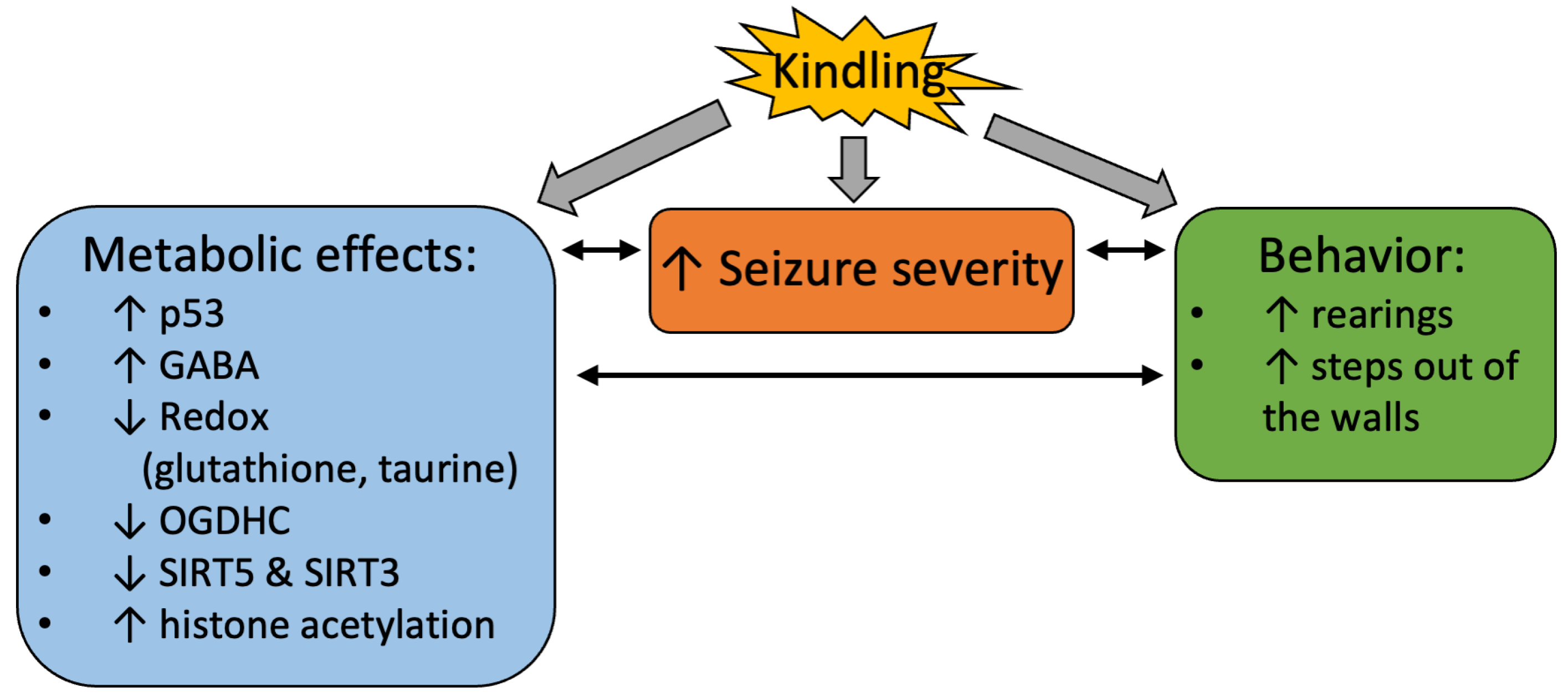 IJMS | Free Full-Text | Pentylenetetrazole-Induced Seizures Are Increased  after Kindling, Exhibiting Vitamin-Responsive Correlations to the  Post-Seizures Behavior, Amino Acids Metabolism and Key Metabolic Regulators  in the Rat Brain