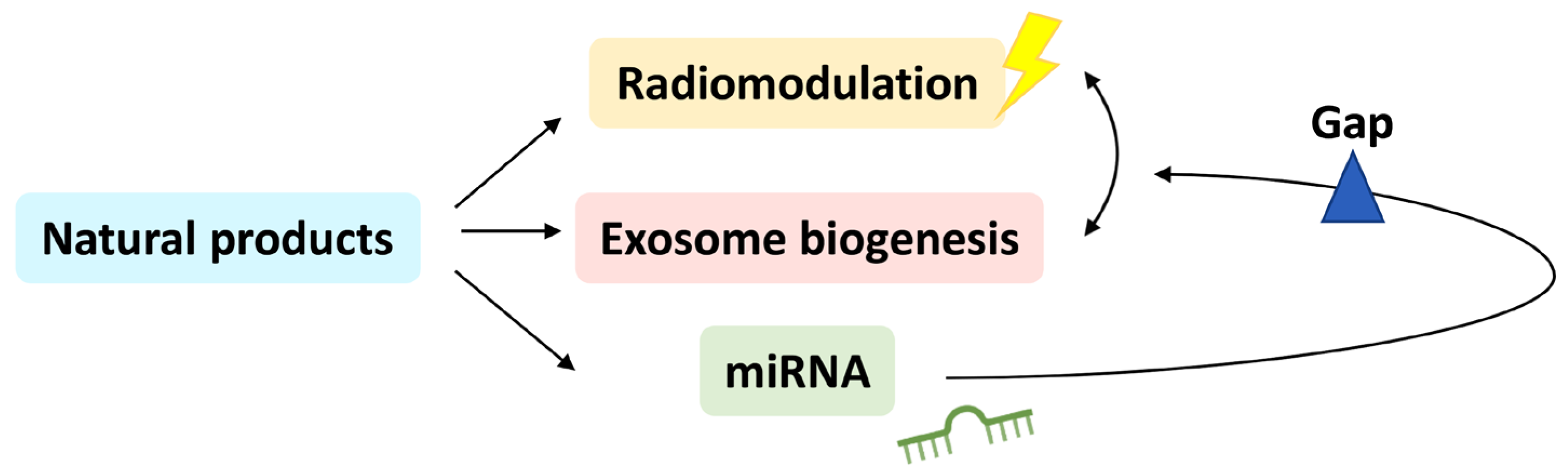 IJMS | Free Full-Text | Connection between Radiation-Regulating 