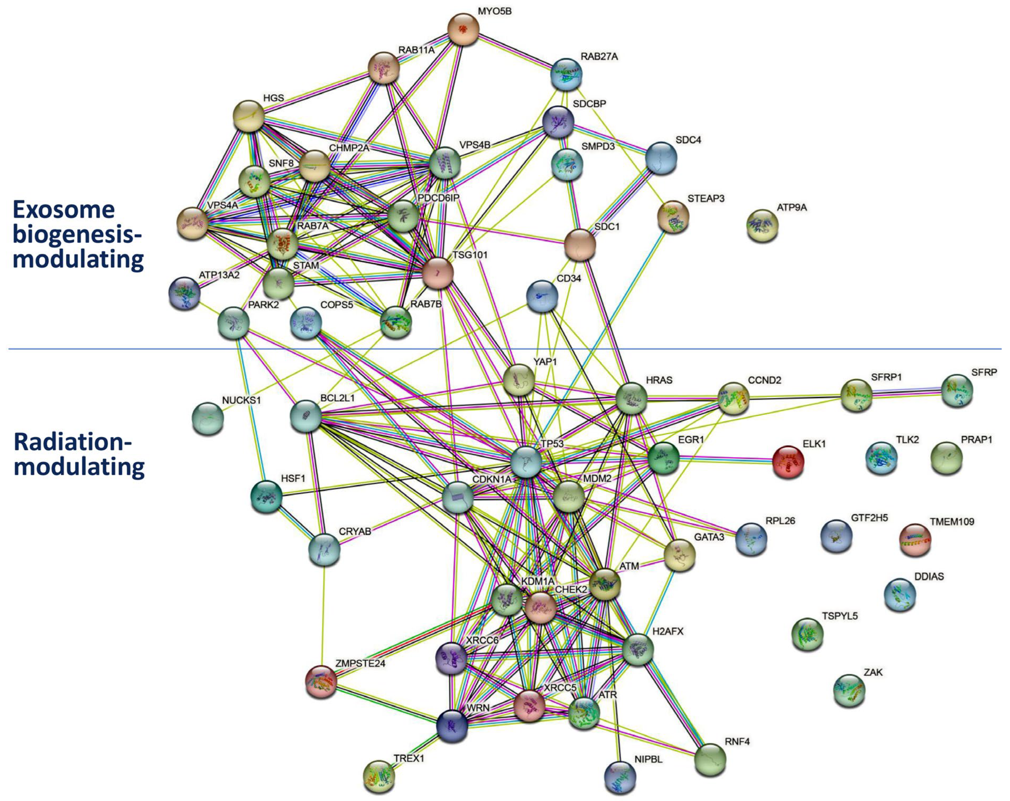 Ijms 24 12449 g004 Ijms 24 12449 g004