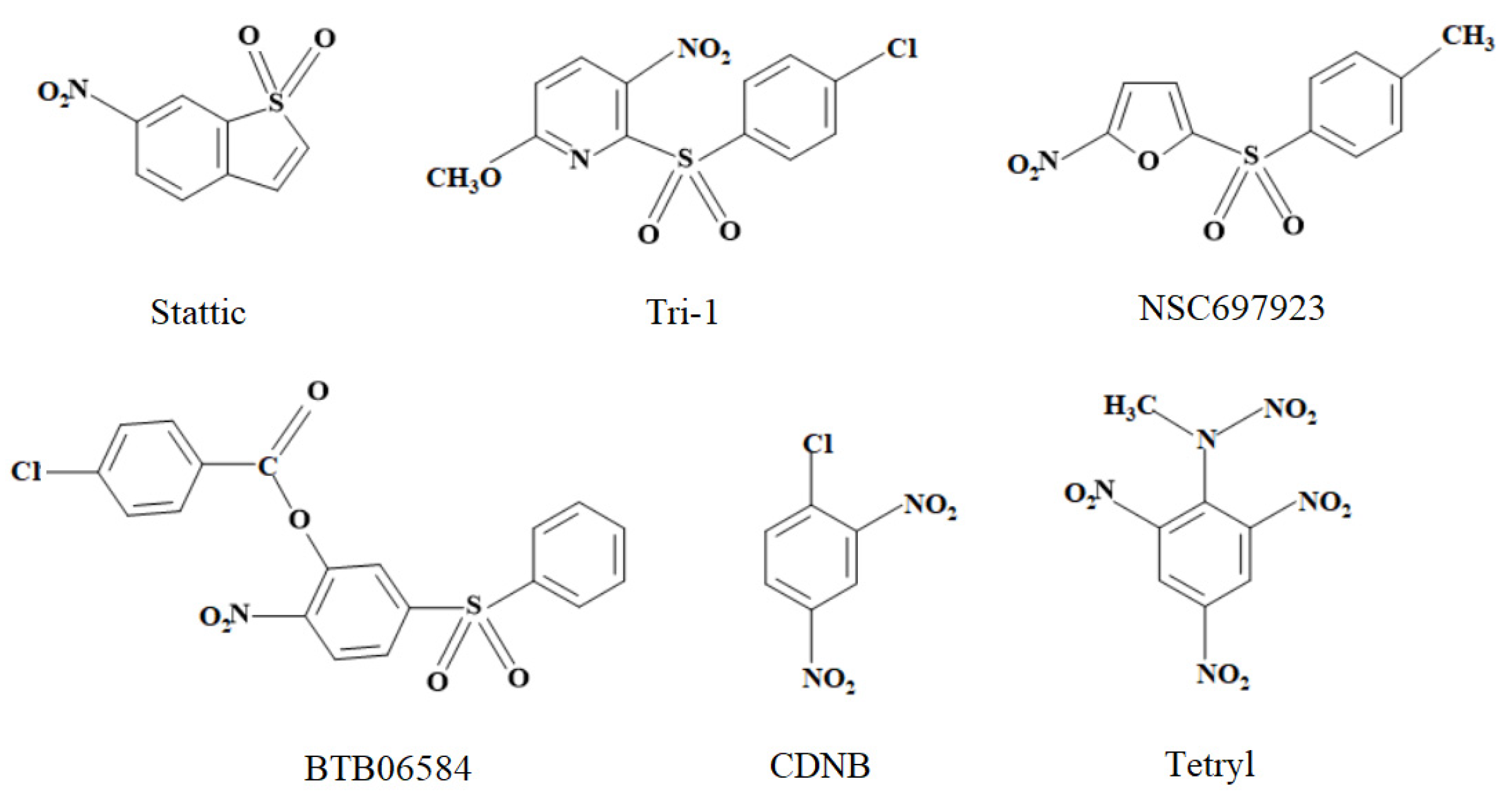 Ijms 24 12460 g001 Ijms 24 12460 g001