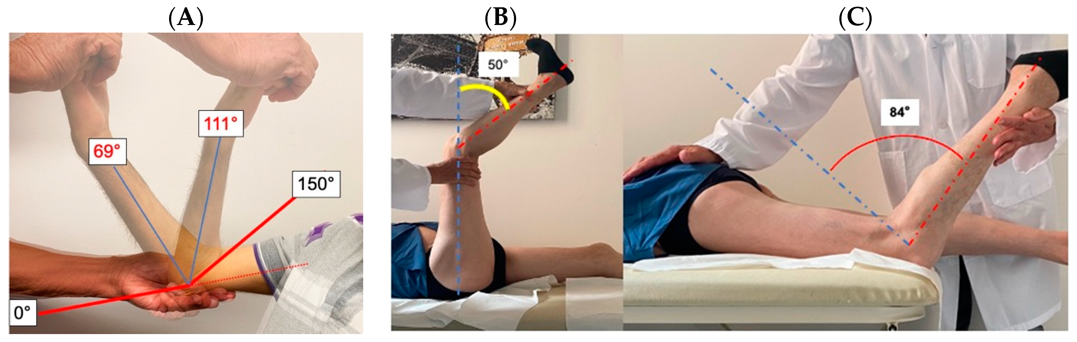 Ijms 24 12474 g002 Ijms 24 12474 g002