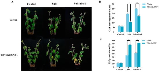 IJMS | Free Full-Text | A Soybean Sucrose Non-Fermenting Protein Kinase ...