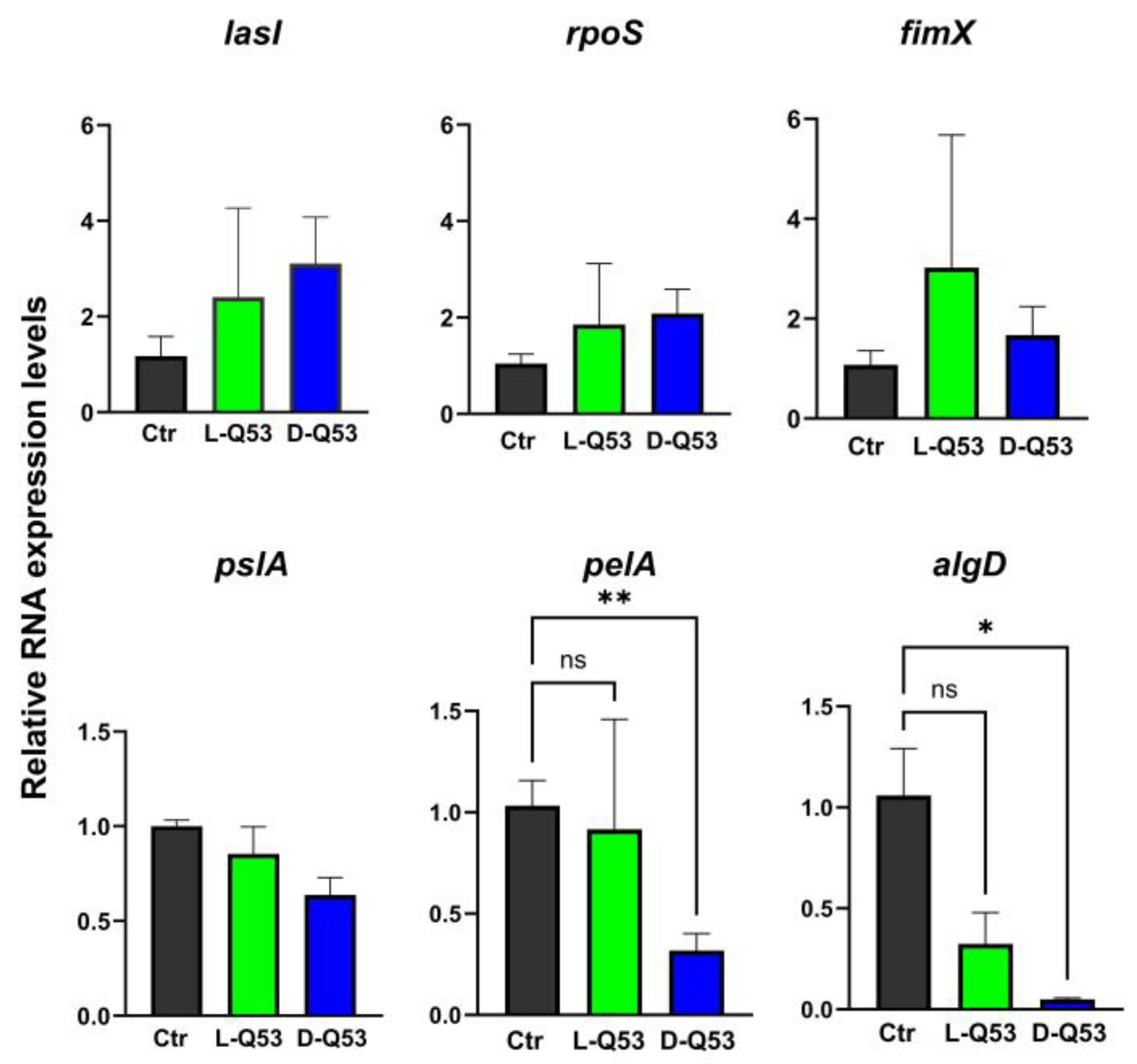 IJMS | Free Full-Text | Fighting Pseudomonas aeruginosa Infections