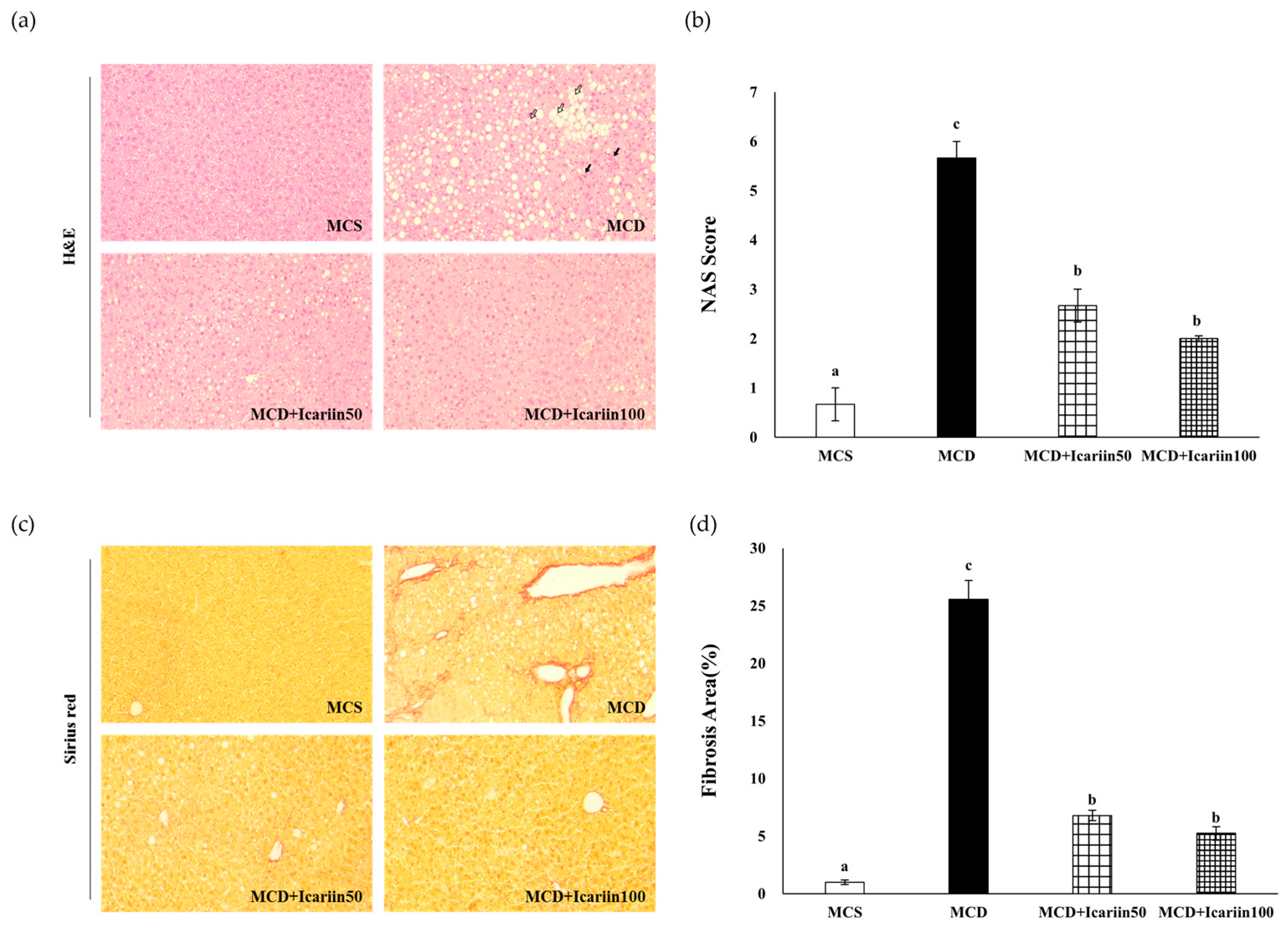 Ijms 24 12510 g002 Ijms 24 12510 g002