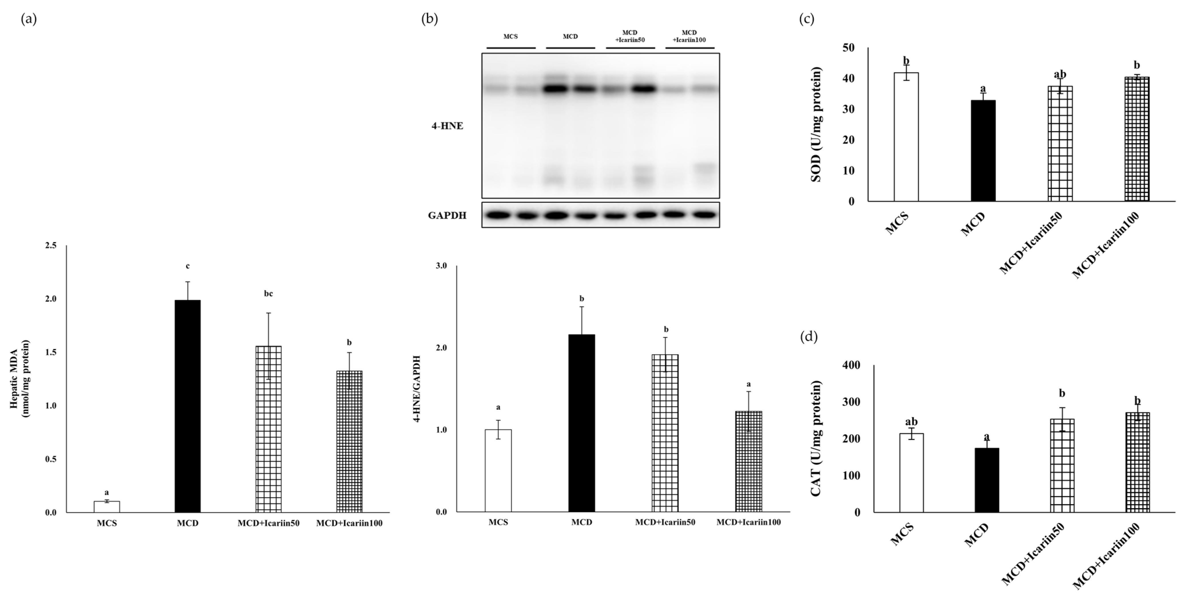 Ijms 24 12510 g003 Ijms 24 12510 g003