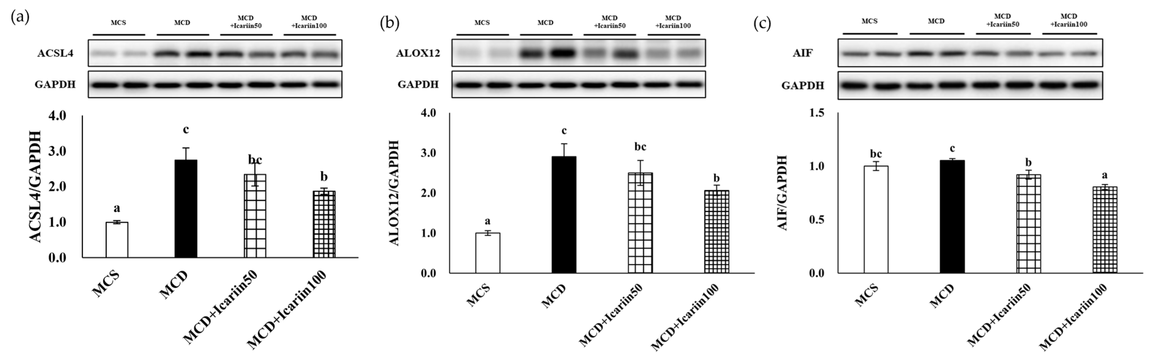 Ijms 24 12510 g005 Ijms 24 12510 g005