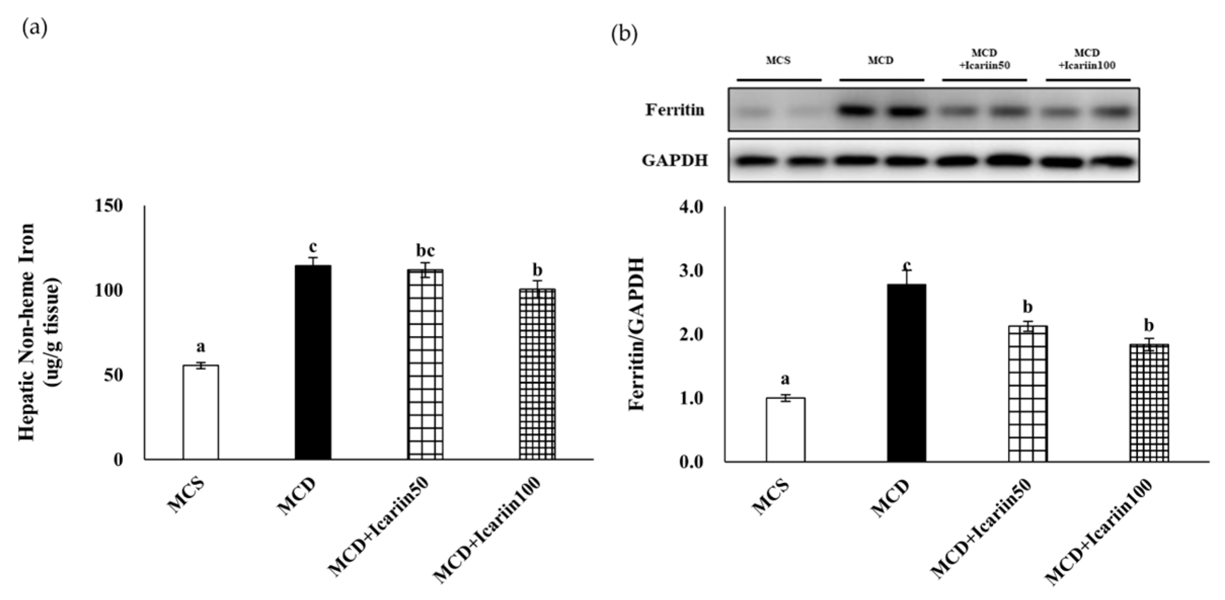 Ijms 24 12510 g006 Ijms 24 12510 g006