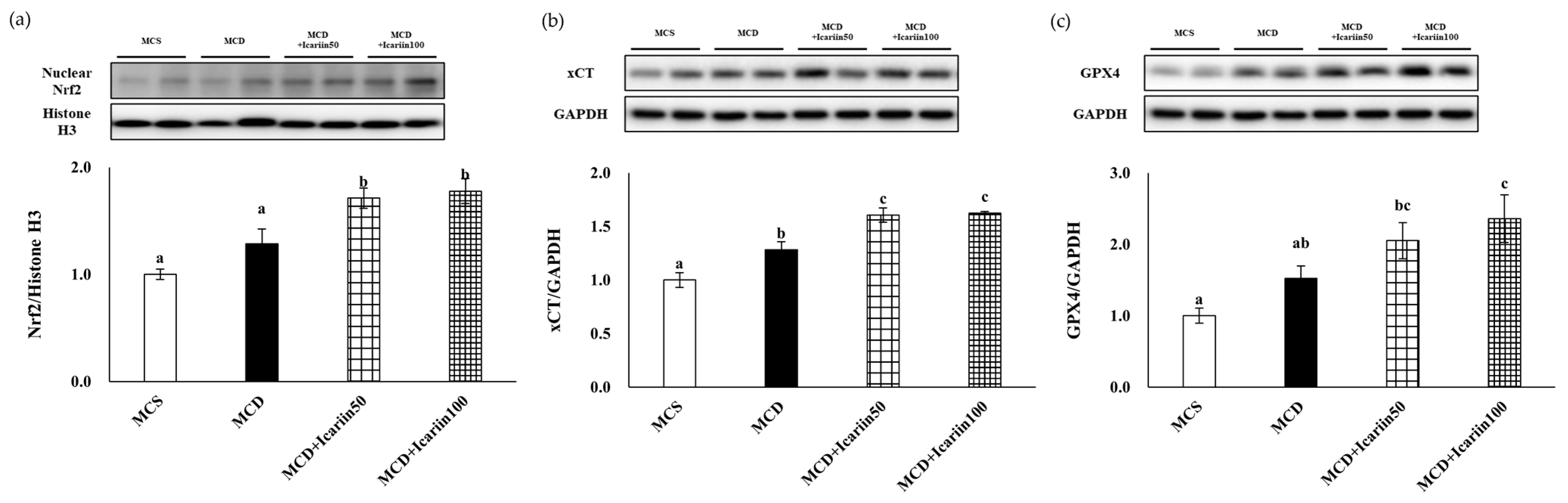 Ijms 24 12510 g007 Ijms 24 12510 g007