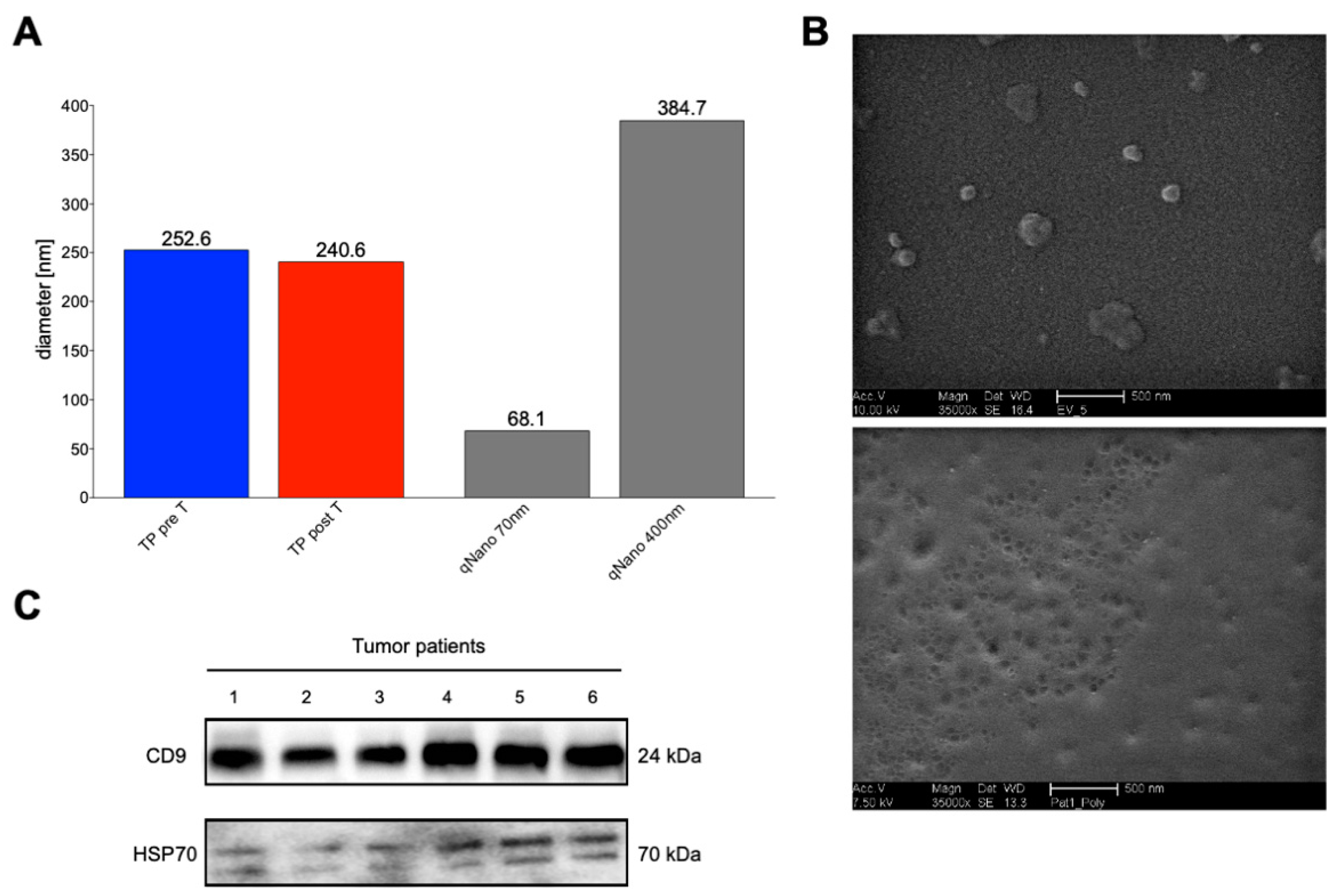 Ijms 24 12512 g003 Ijms 24 12512 g003