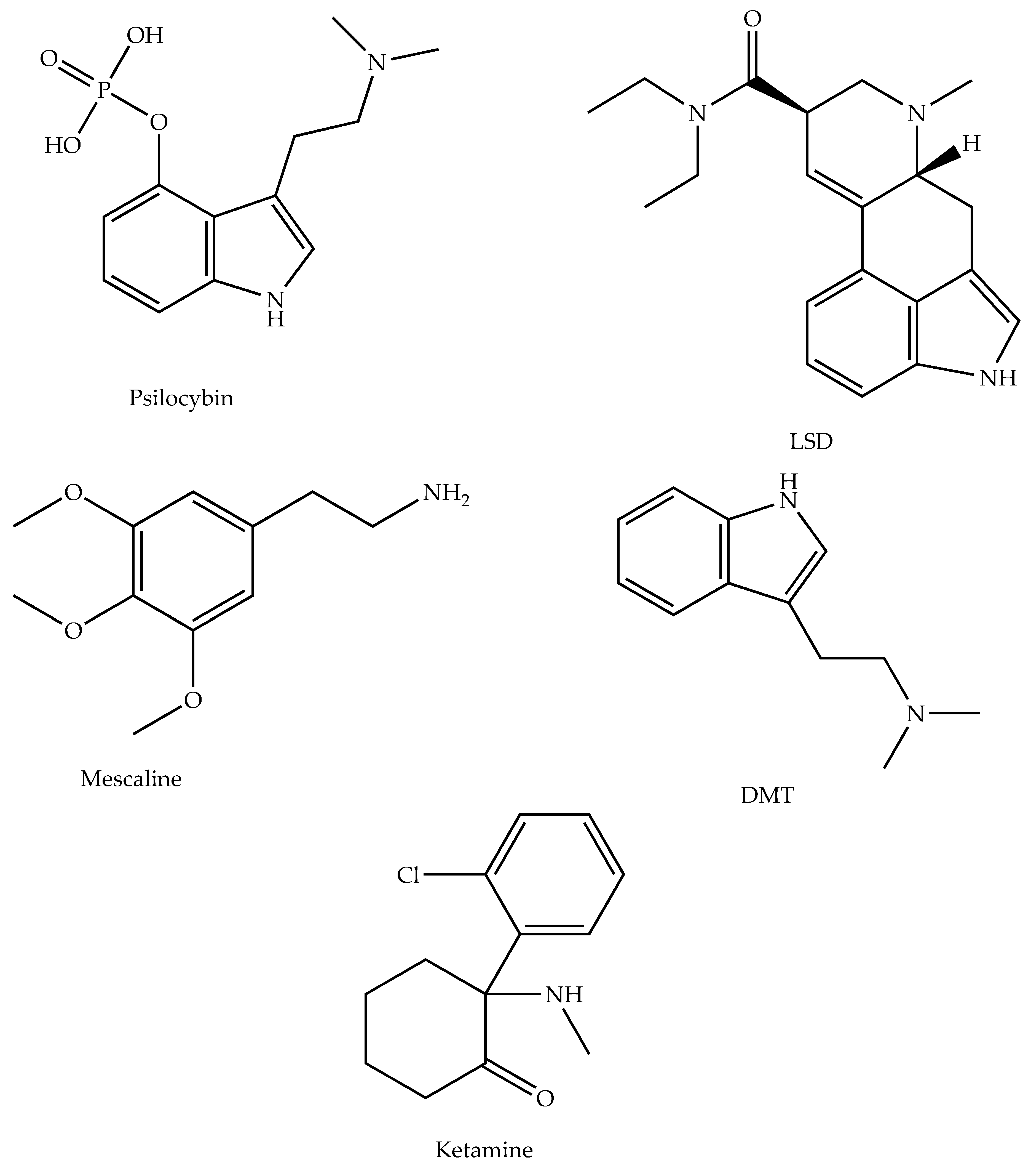 Ijms 24 12513 g001 Ijms 24 12513 g001