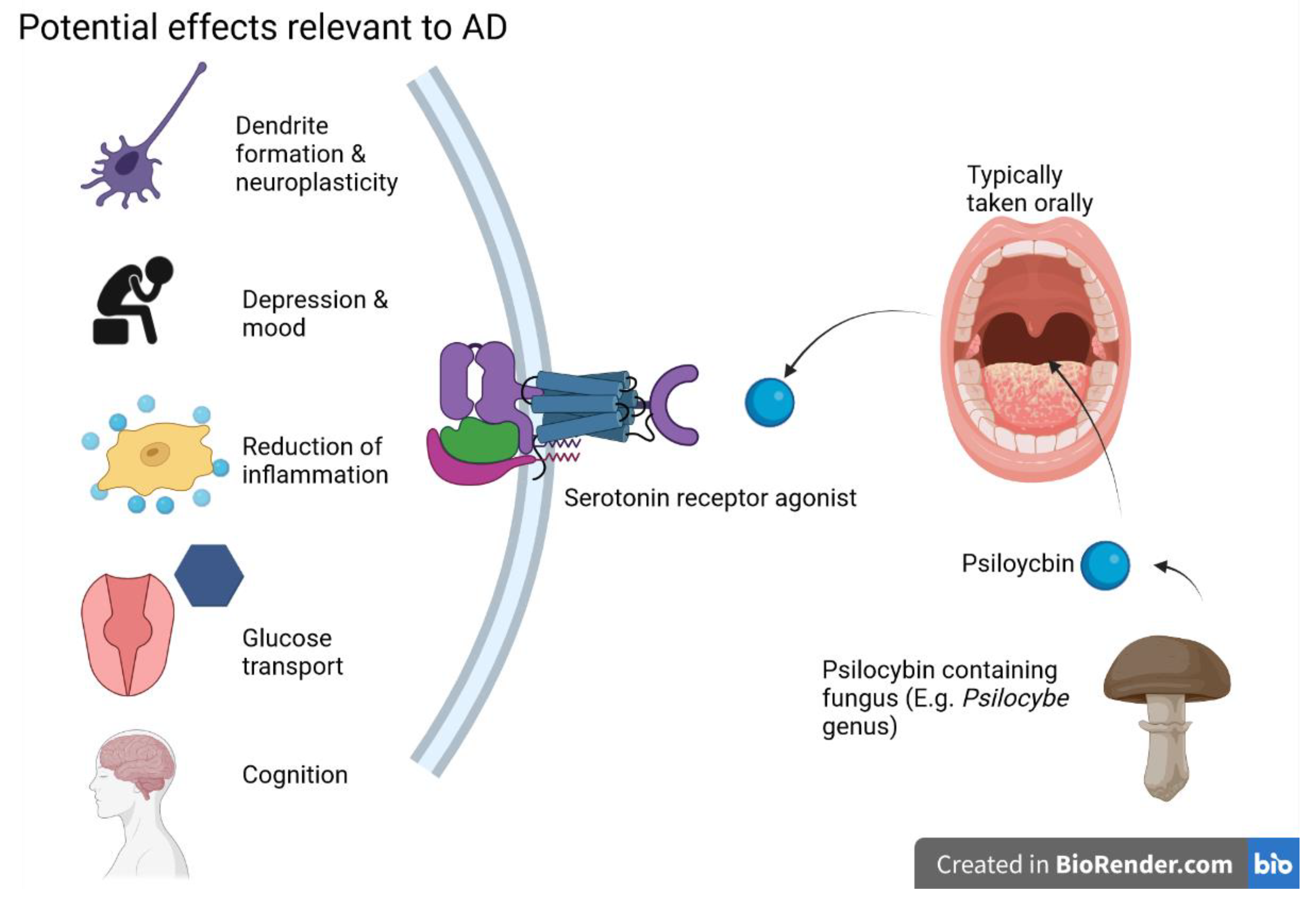 Ijms 24 12513 g002 Ijms 24 12513 g002