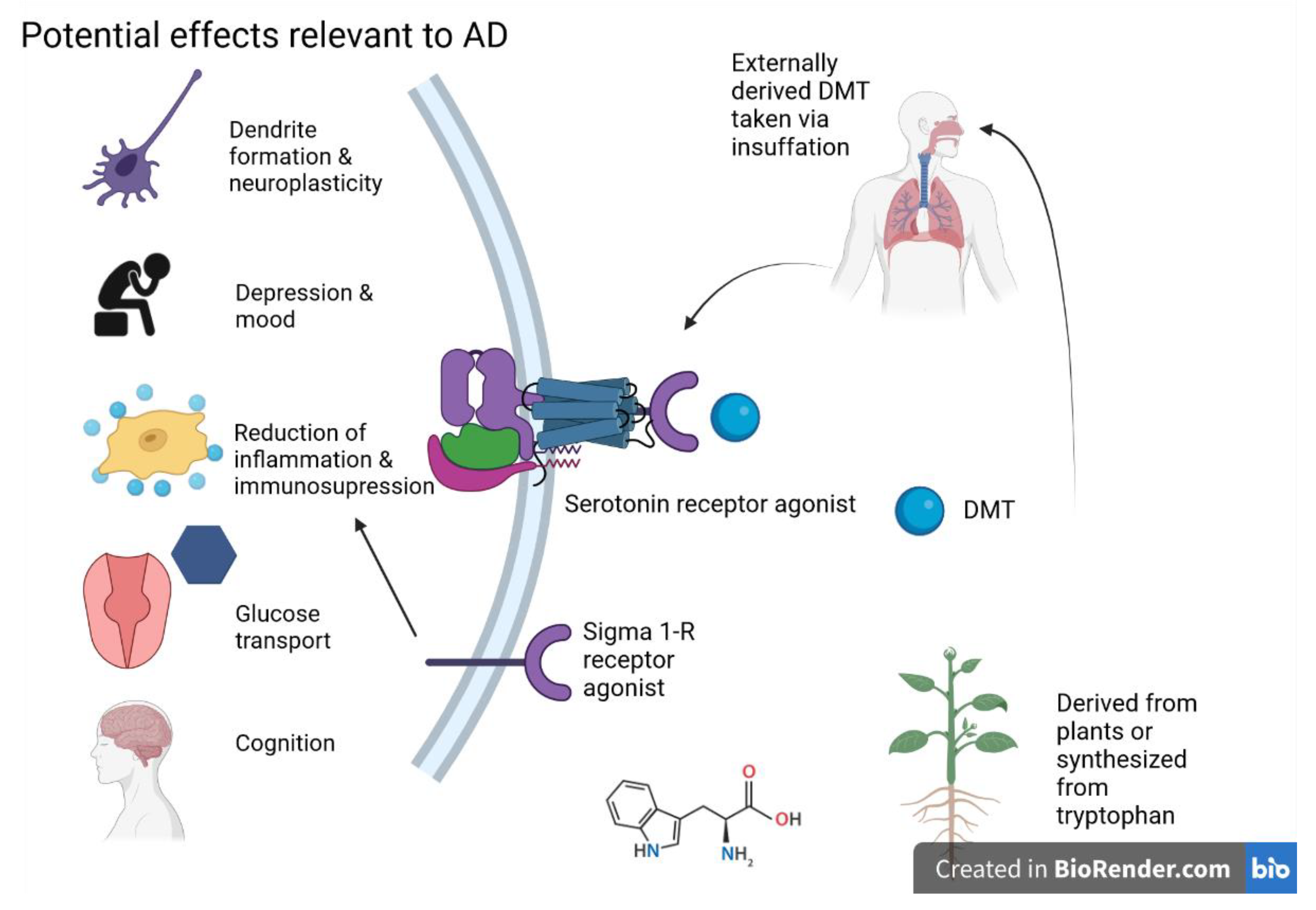 Ijms 24 12513 g004 Ijms 24 12513 g004