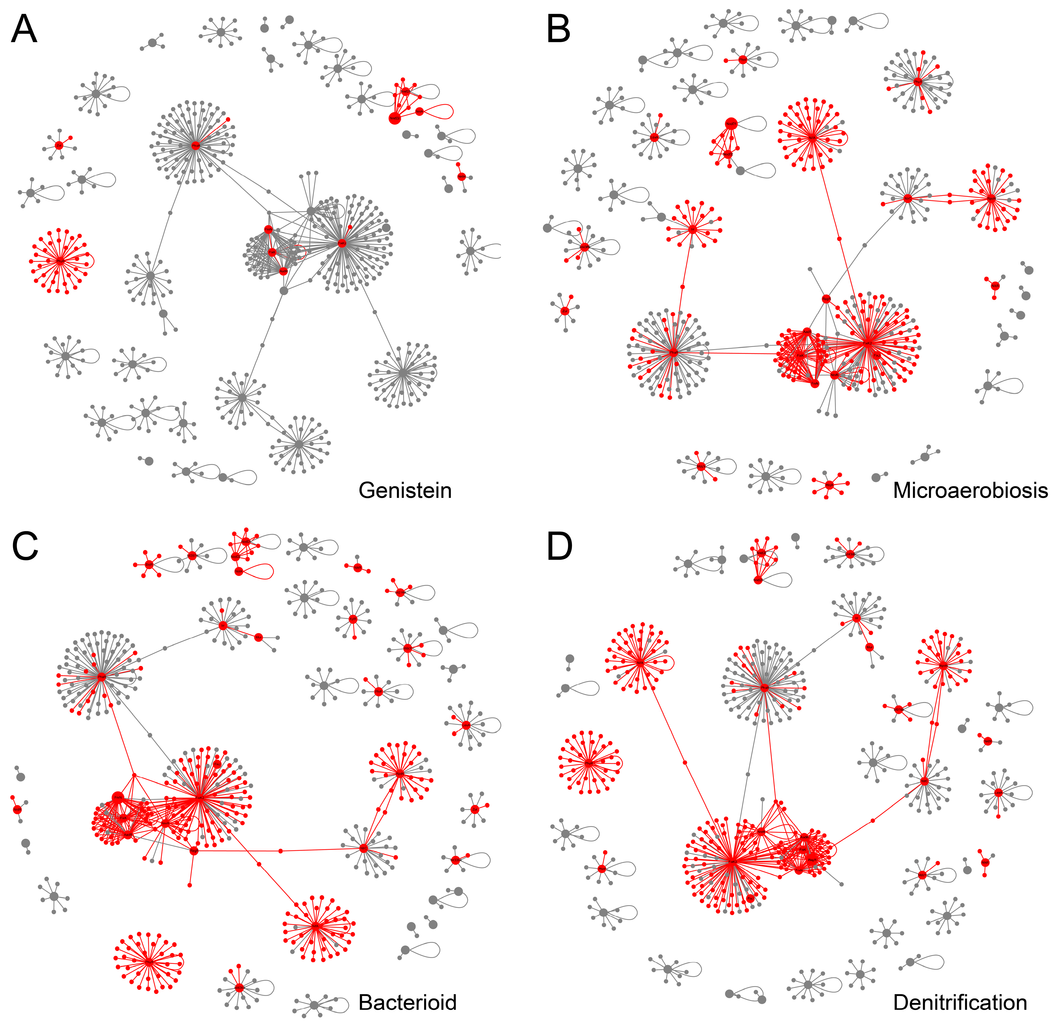 Ijms 24 12544 g005 Ijms 24 12544 g005