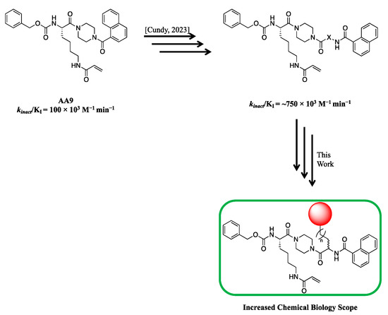 IJMS | Free Full-Text | Cell-Impermeable Inhibitors Confirm That