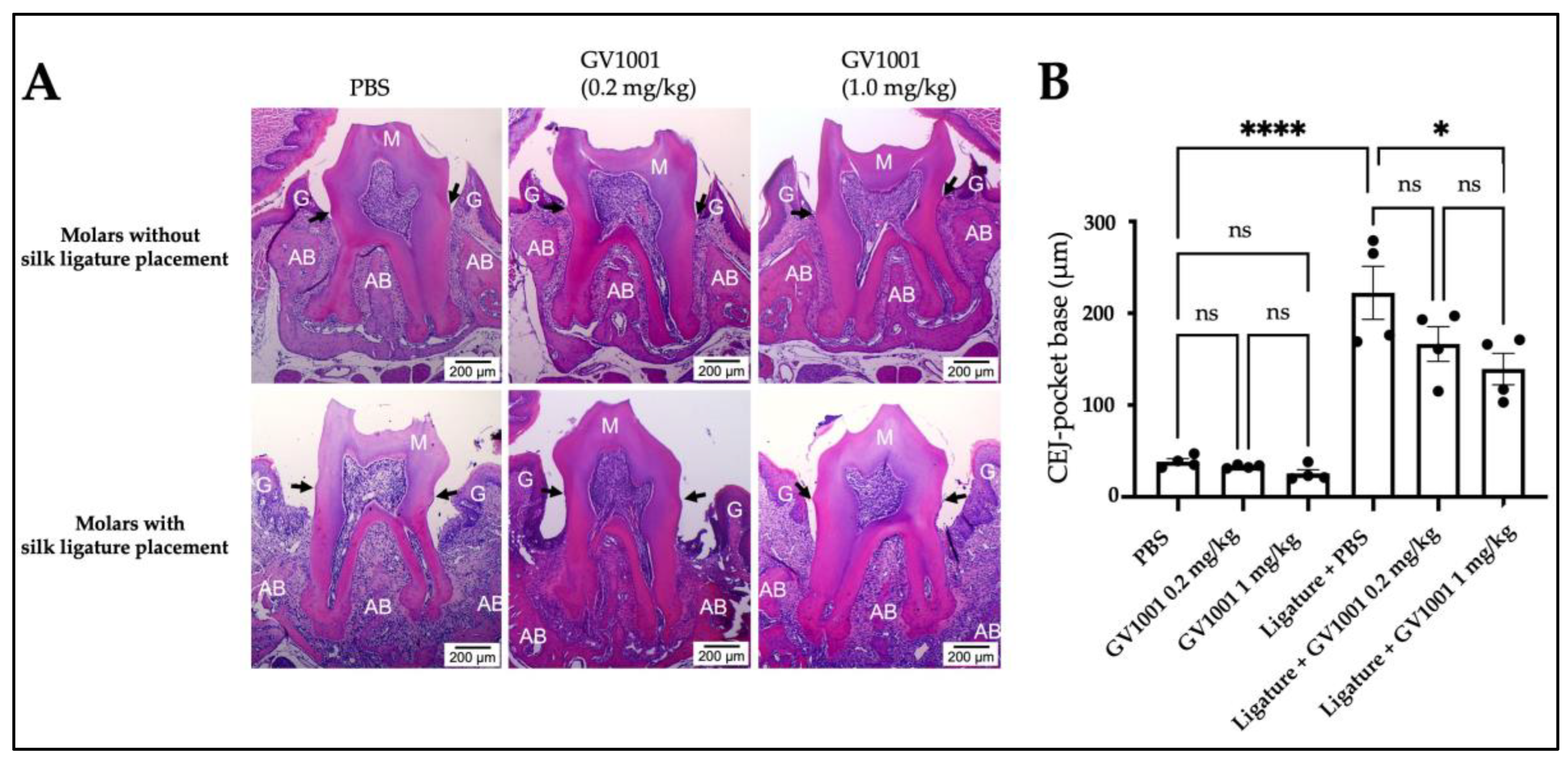 Ijms 24 12566 g002 Ijms 24 12566 g002