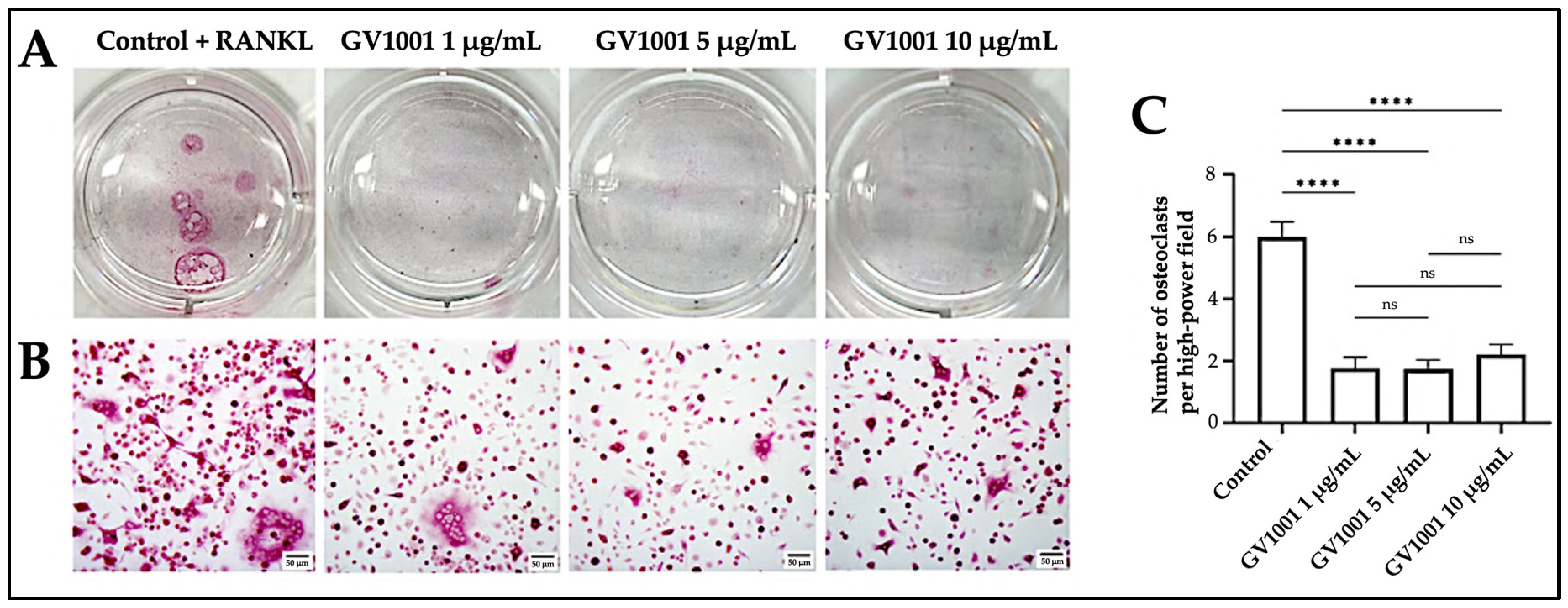 Ijms 24 12566 g006 Ijms 24 12566 g006