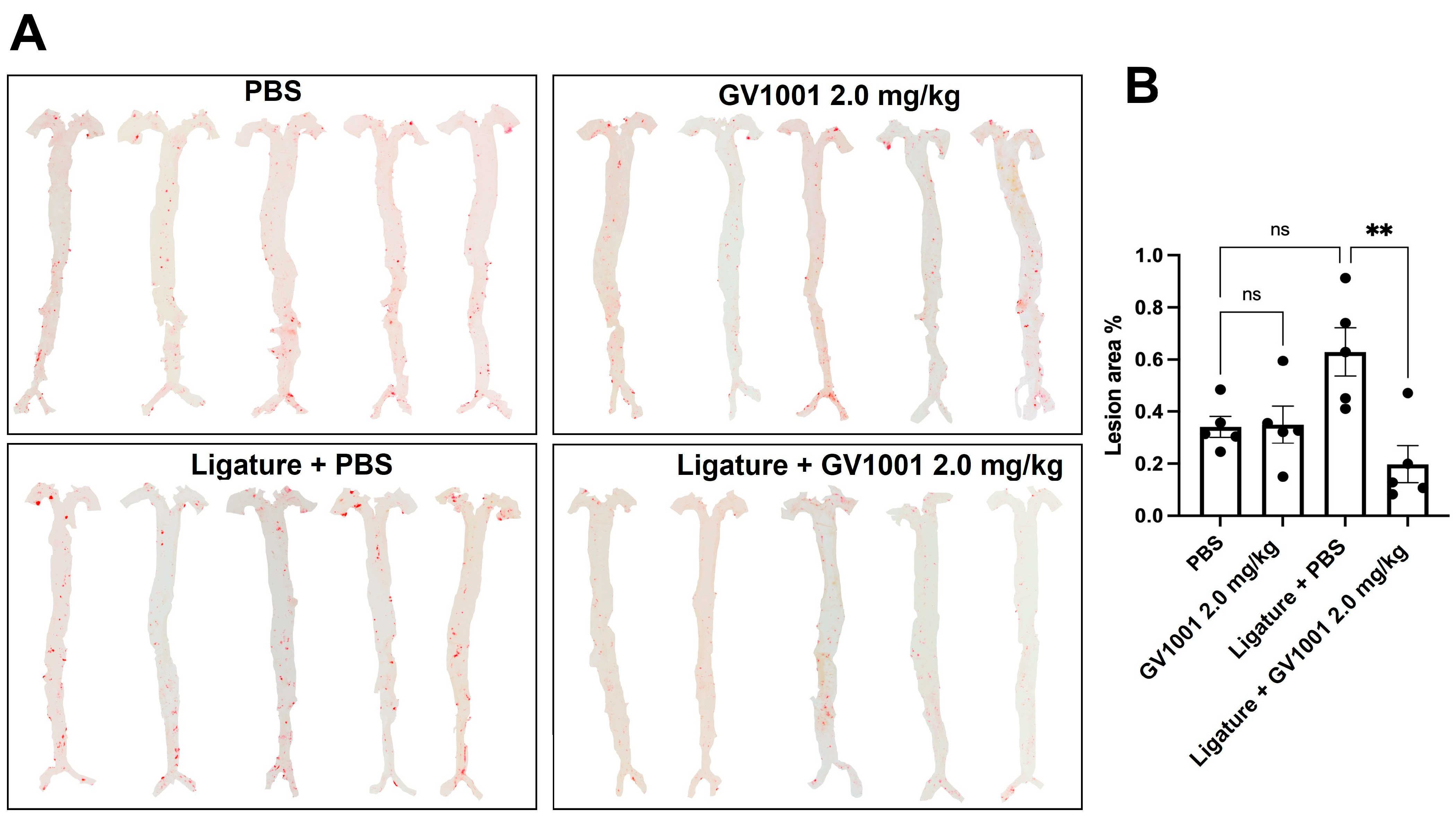 Ijms 24 12566 g009 Ijms 24 12566 g009