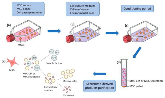 IJMS | Free Full-Text | Towards the Standardization of Mesenchymal Stem ...