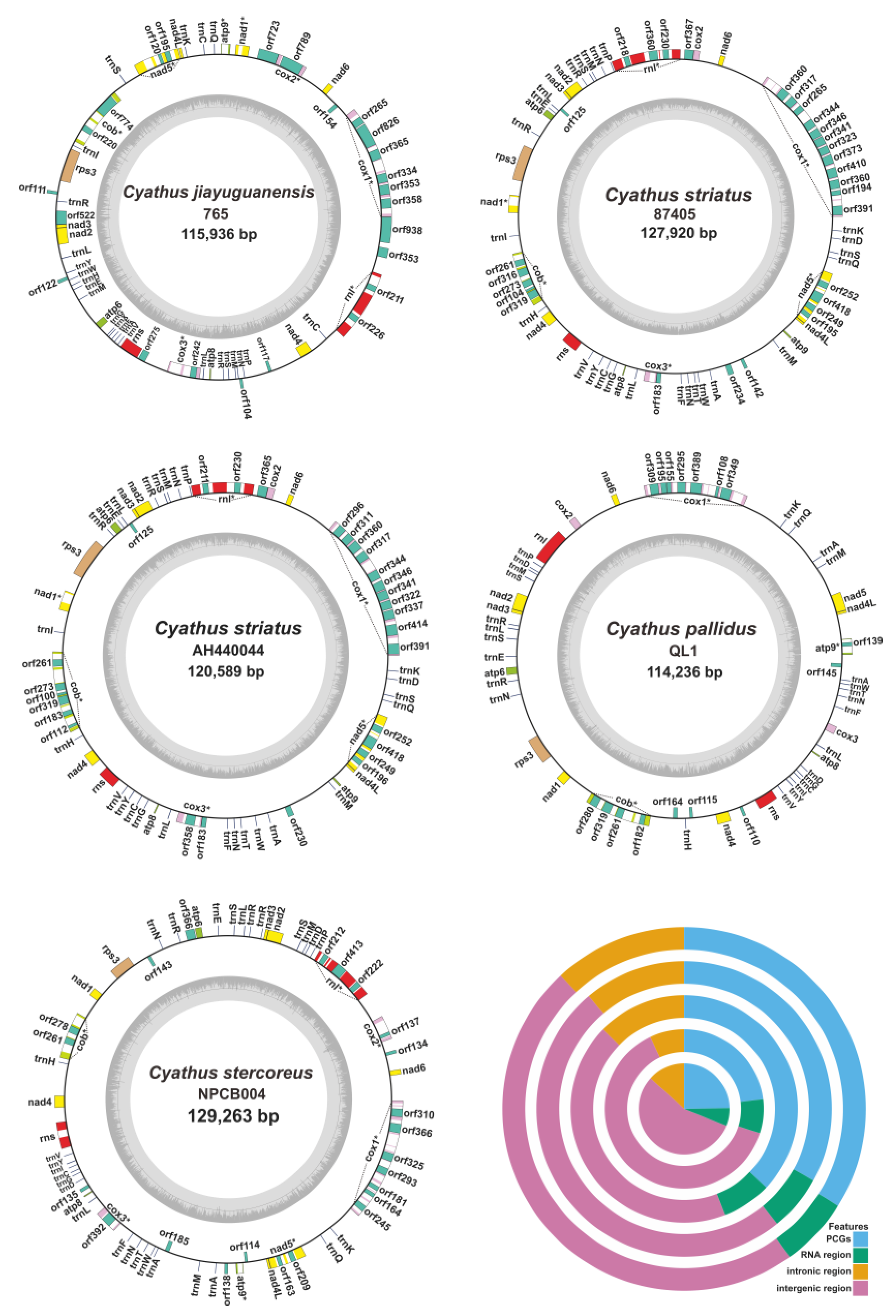 Ijms 24 12599 g002 Ijms 24 12599 g002
