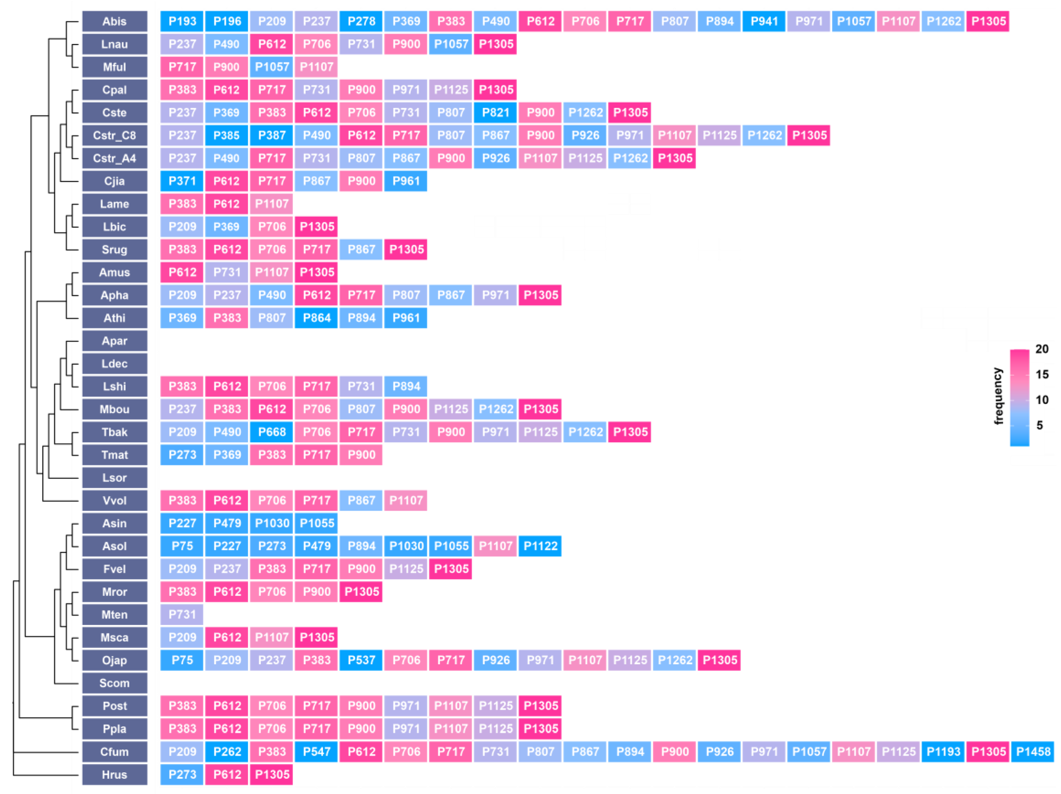 Ijms 24 12599 g006 Ijms 24 12599 g006