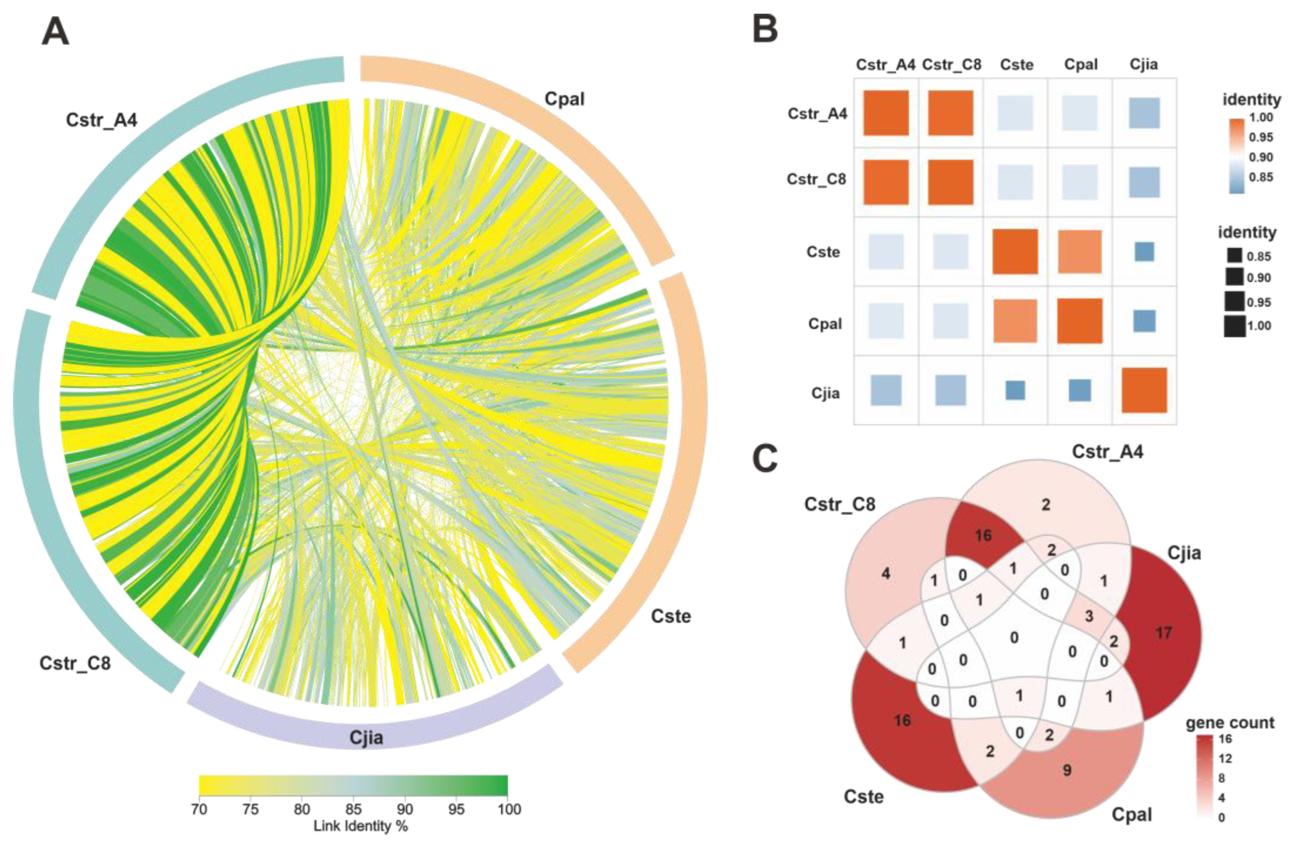 Ijms 24 12599 g007 Ijms 24 12599 g007