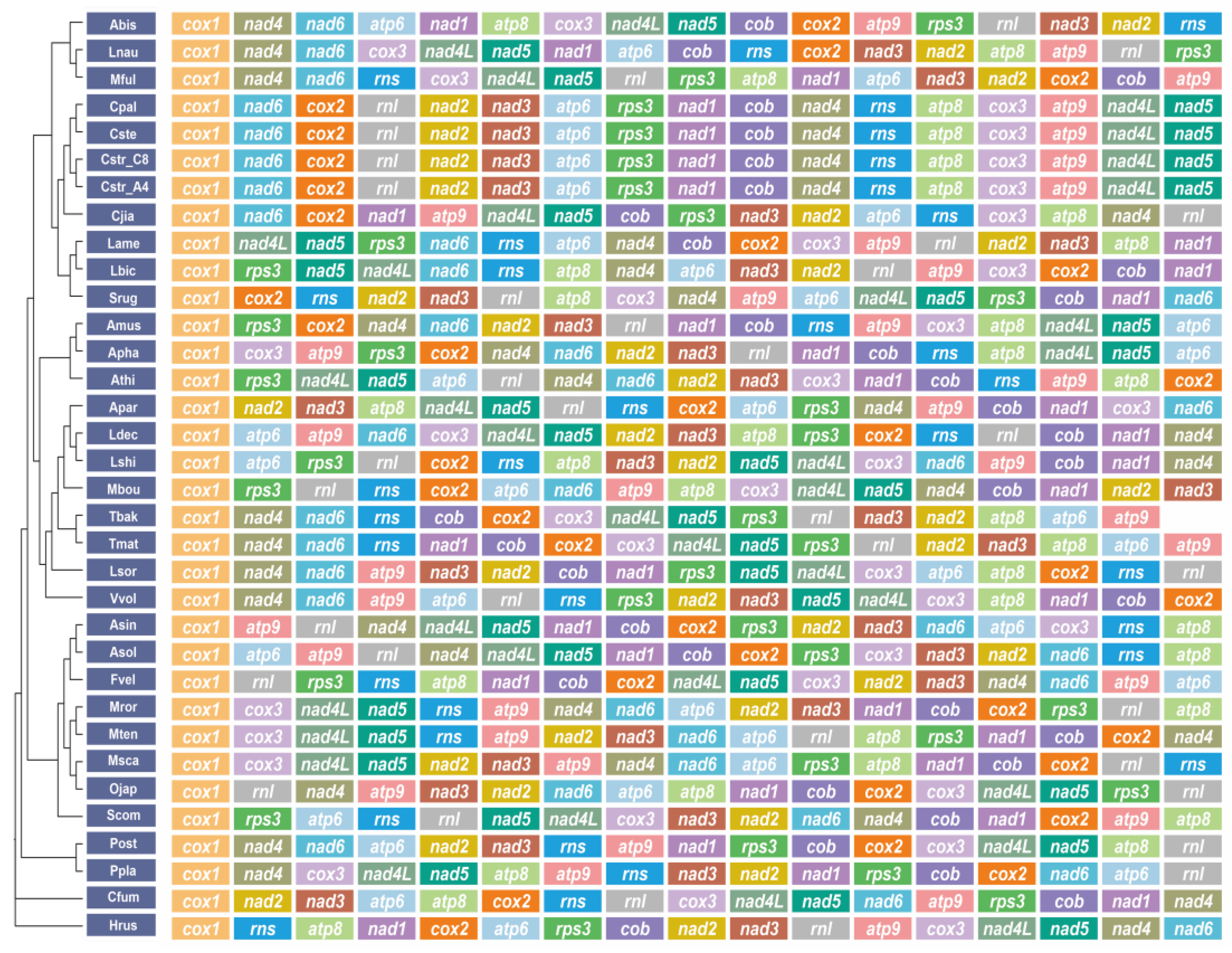 Ijms 24 12599 g010 Ijms 24 12599 g010