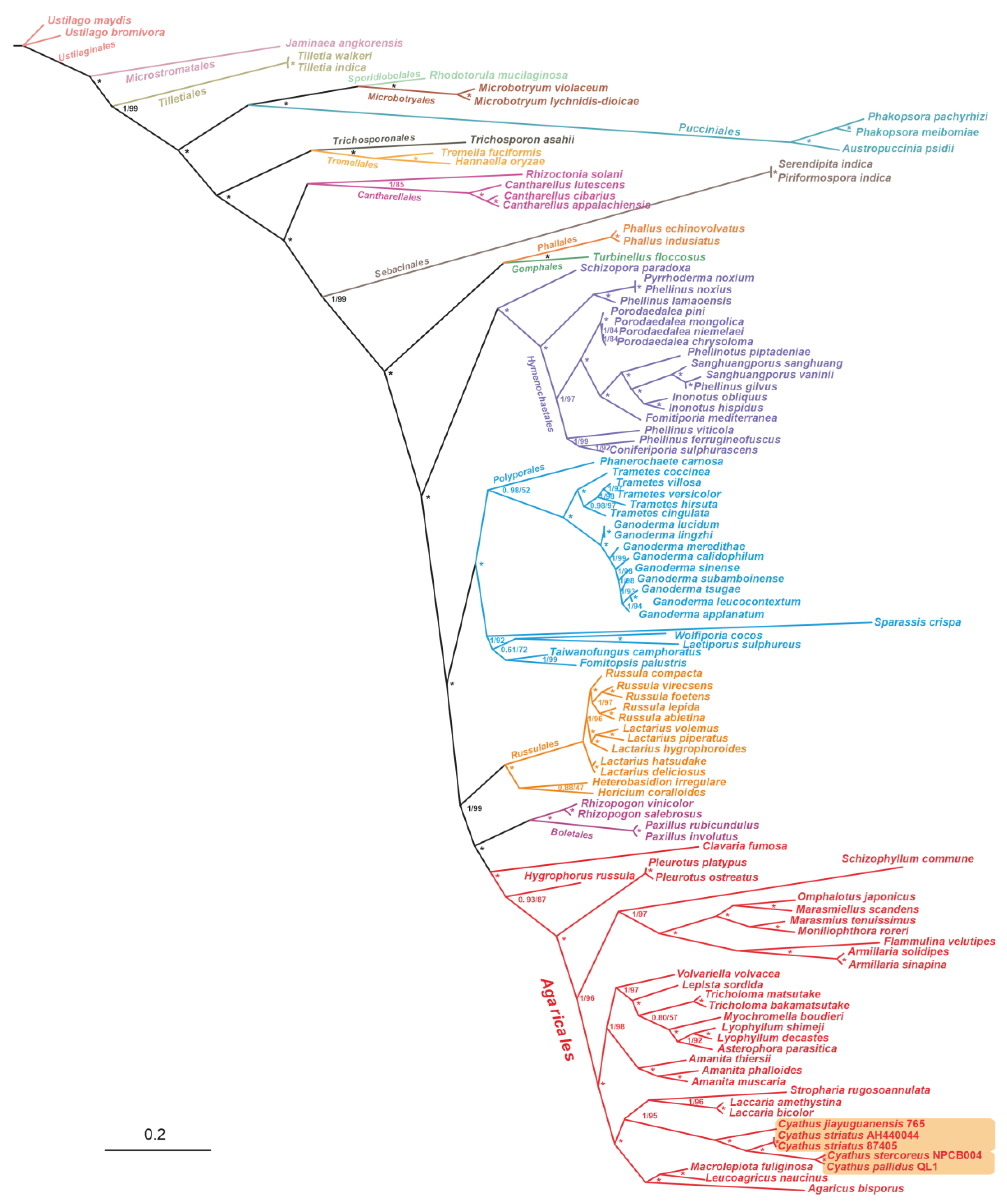 Ijms 24 12599 g011 Ijms 24 12599 g011