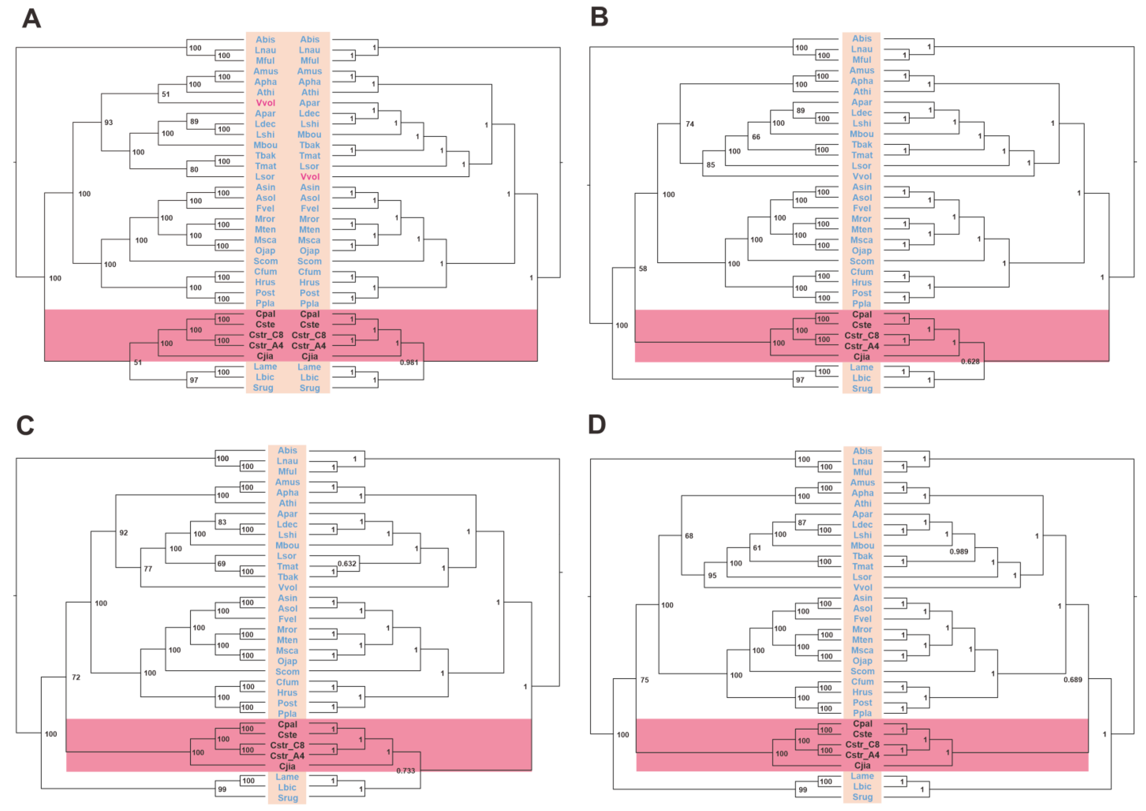 Ijms 24 12599 g012 Ijms 24 12599 g012