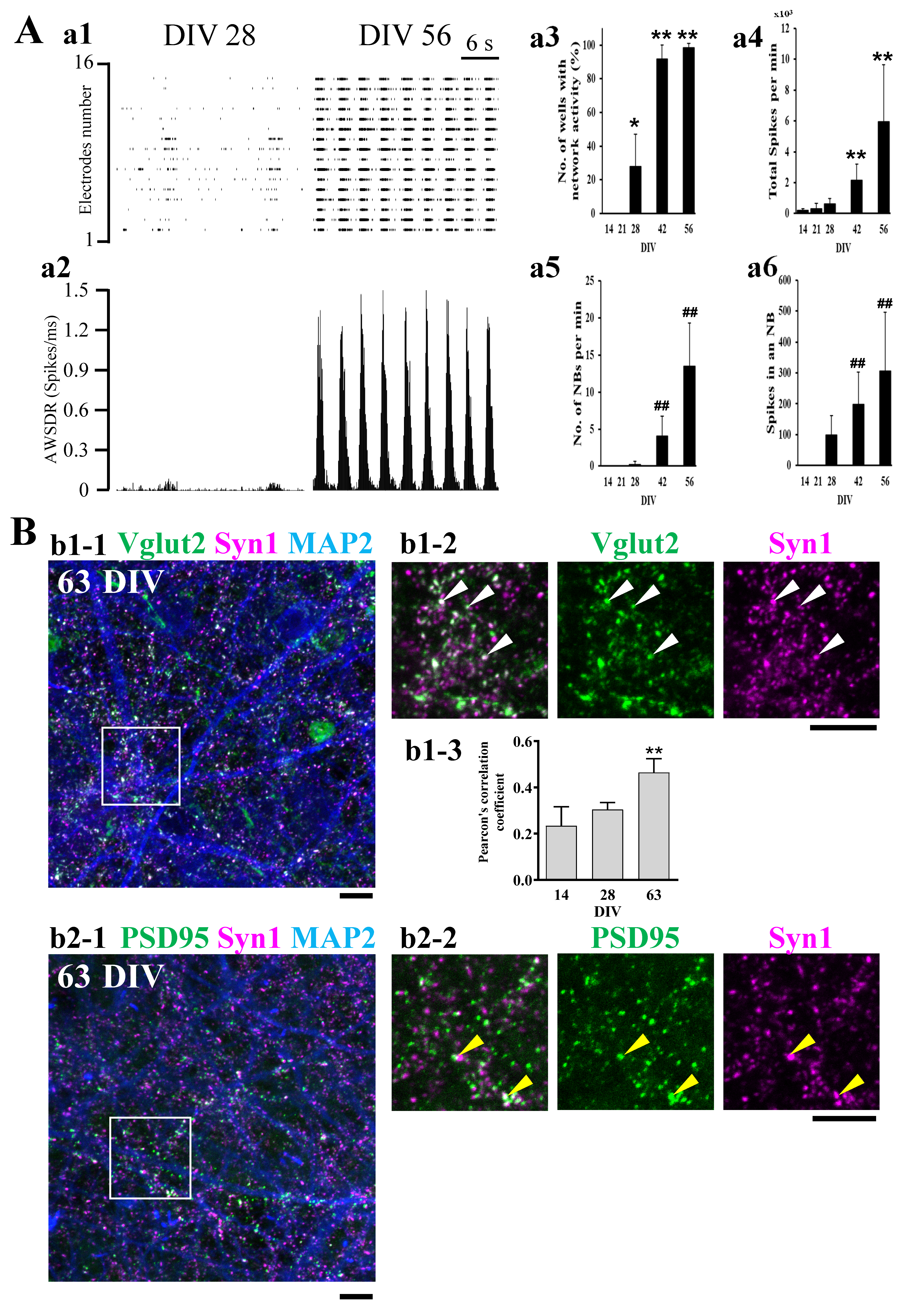 Ijms 24 12605 g001 Ijms 24 12605 g001