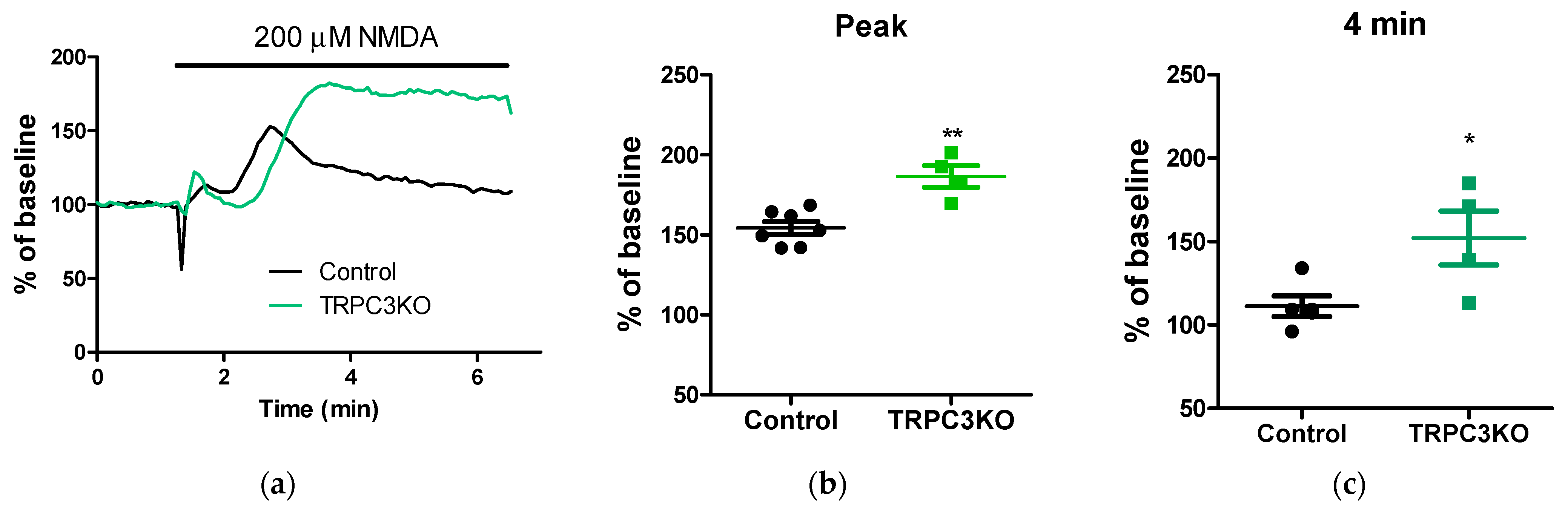 Ijms 24 12611 g005 Ijms 24 12611 g005