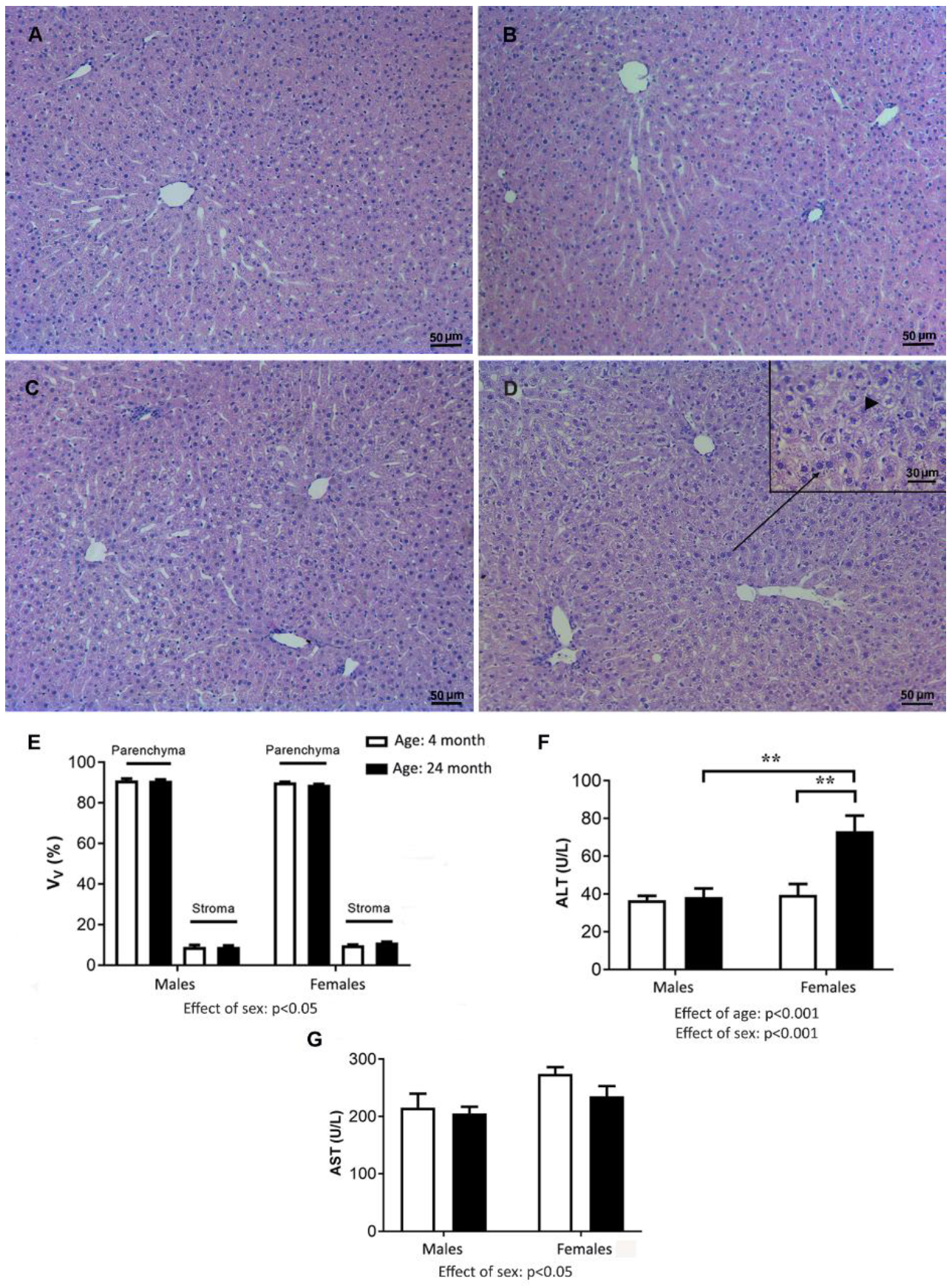 Ijms 24 12624 g006 Ijms 24 12624 g006