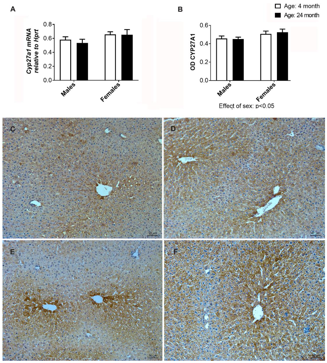 Ijms 24 12624 g010 Ijms 24 12624 g010