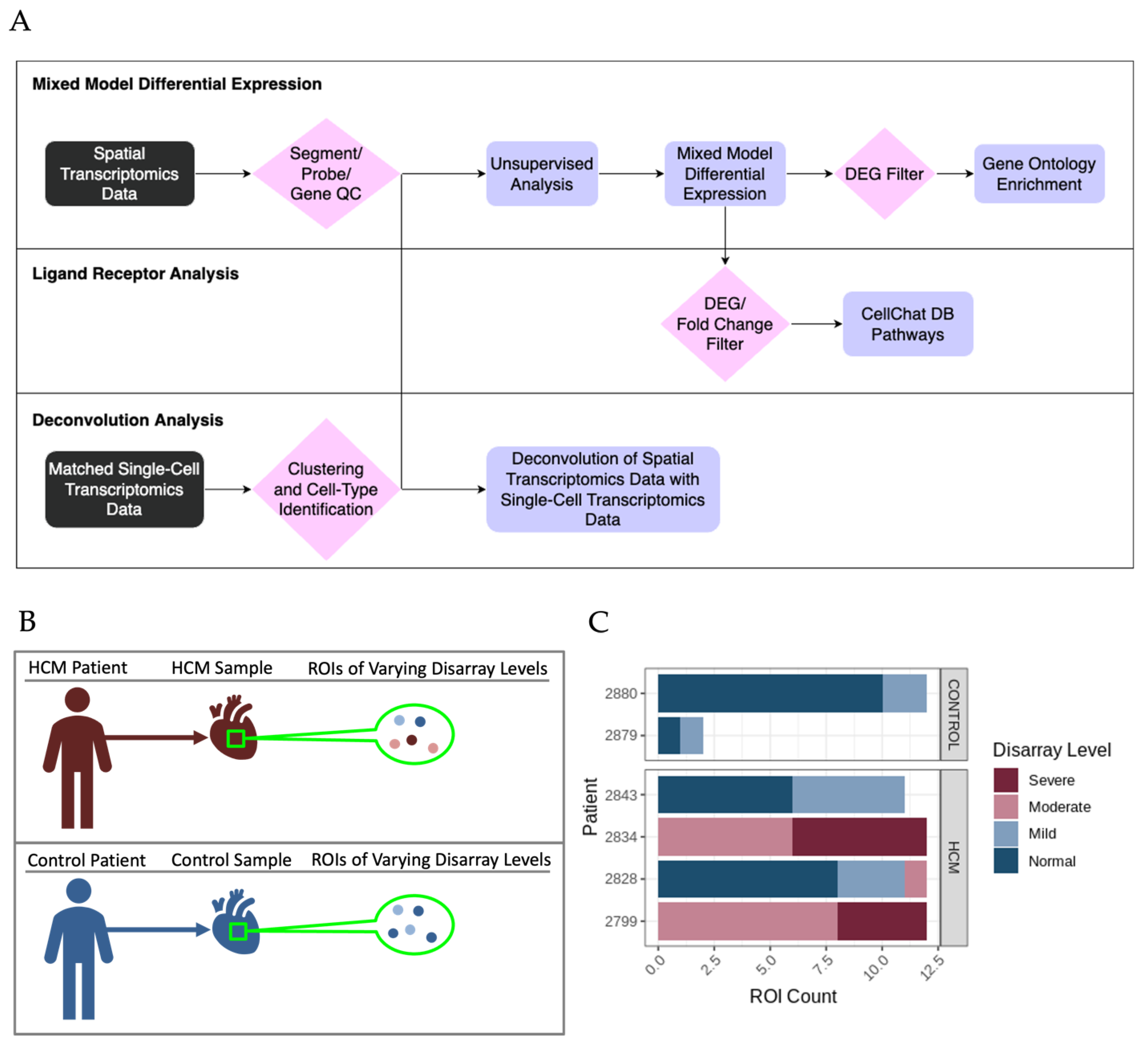 Ijms 24 12625 g002 Ijms 24 12625 g002