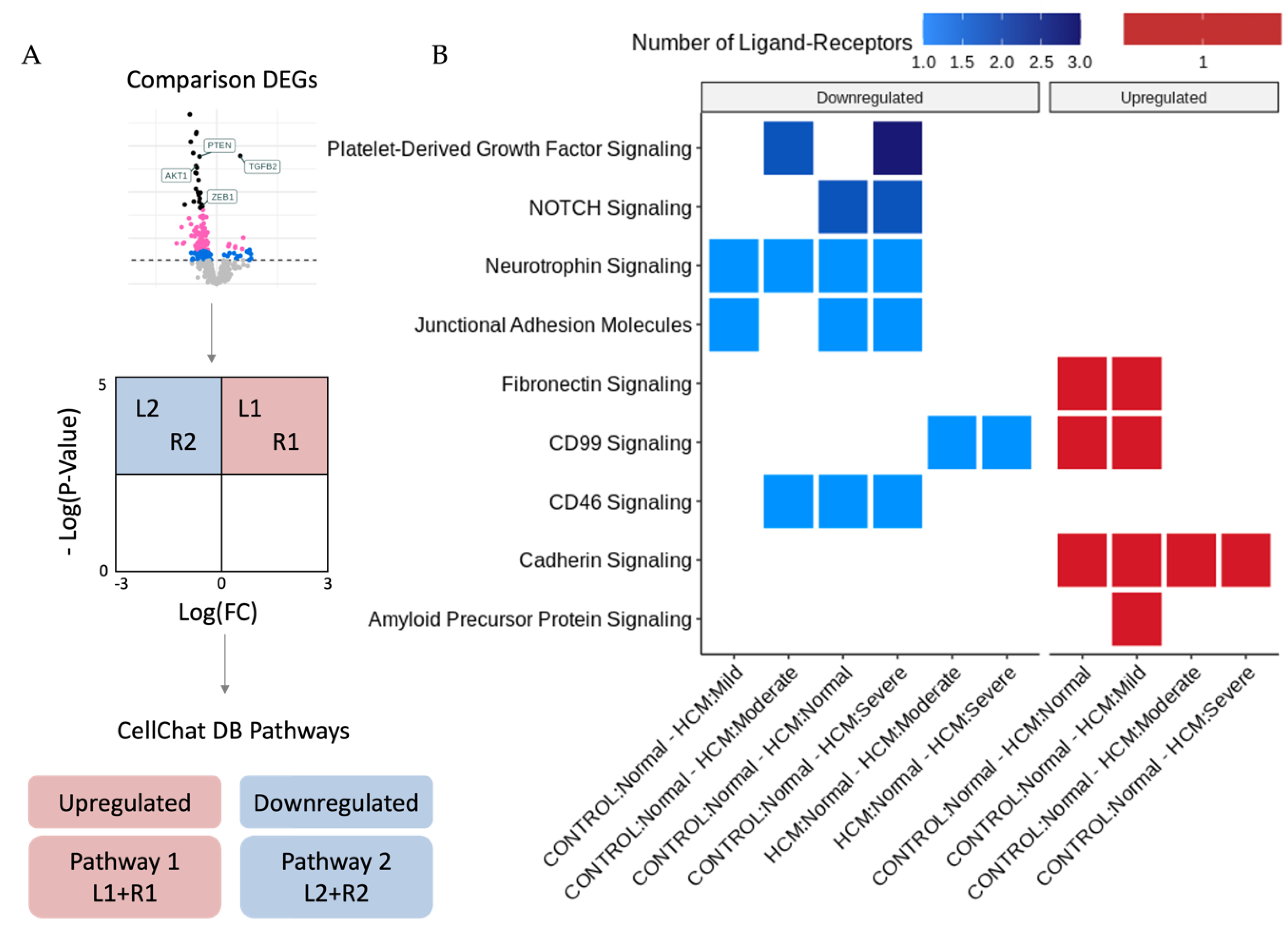 Ijms 24 12625 g004 Ijms 24 12625 g004