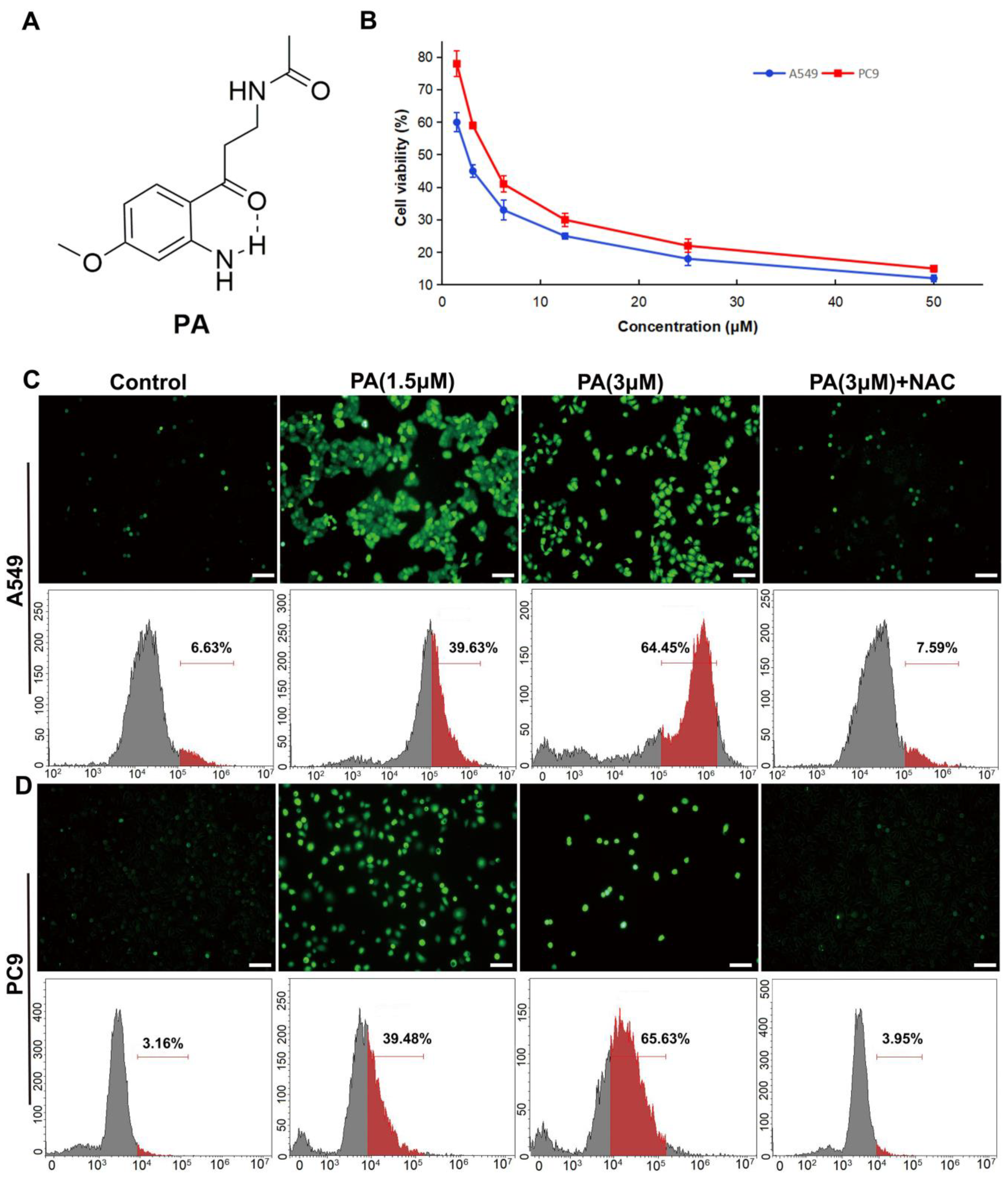 Ijms 24 12626 g001 Ijms 24 12626 g001