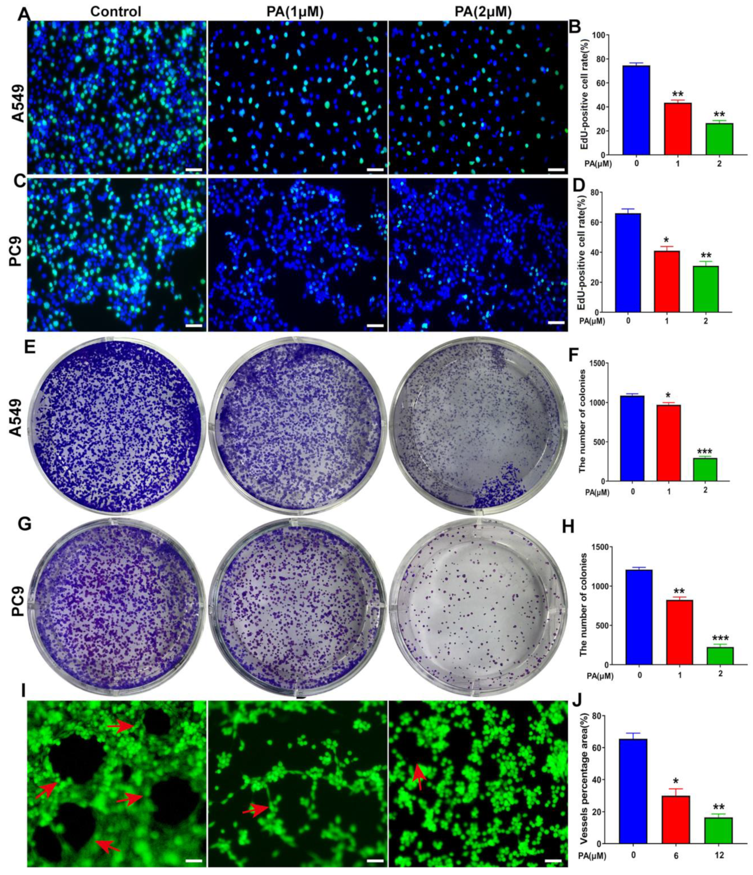 Ijms 24 12626 g005 Ijms 24 12626 g005