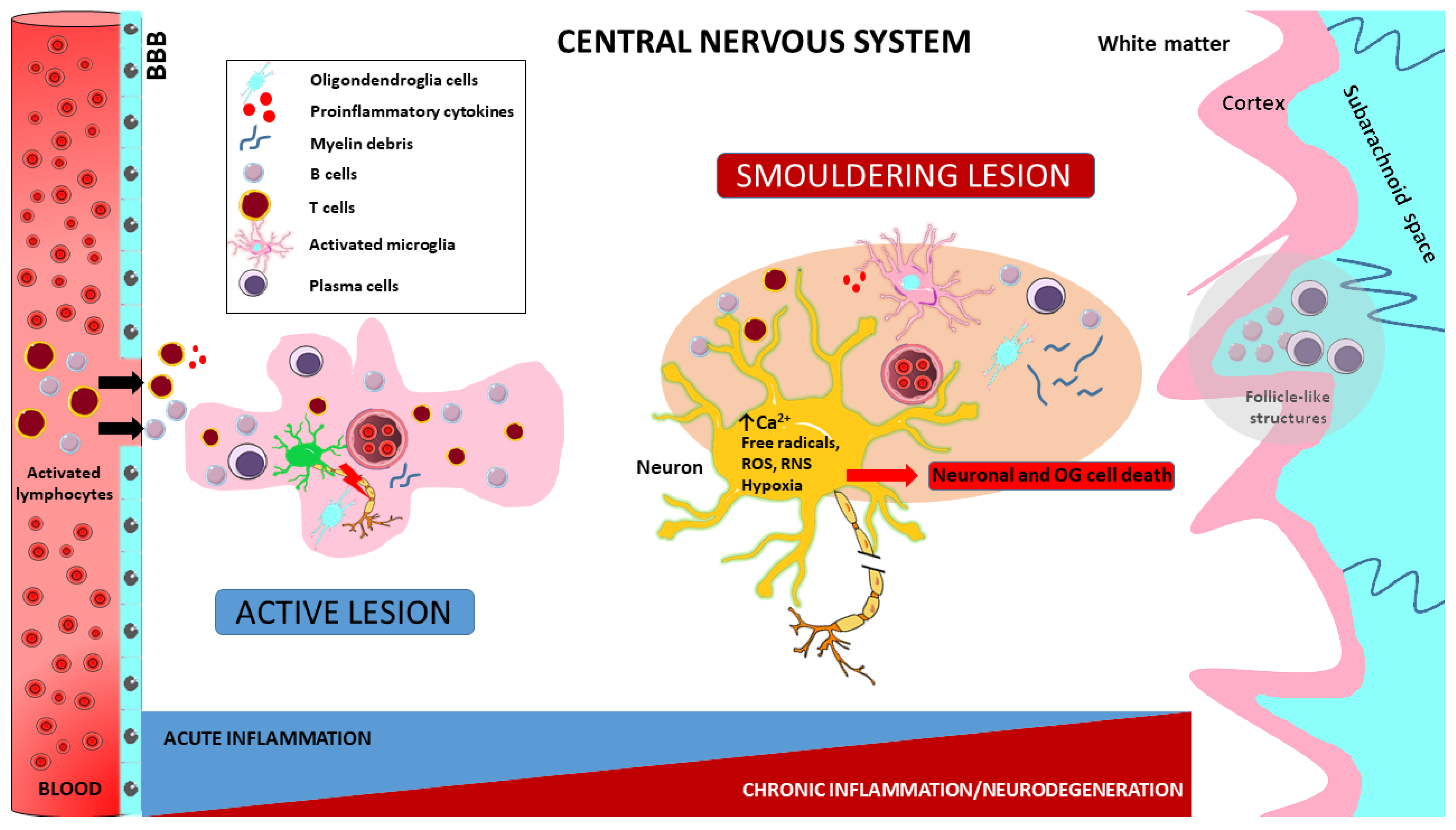 Ijms 24 12631 g003 Ijms 24 12631 g003