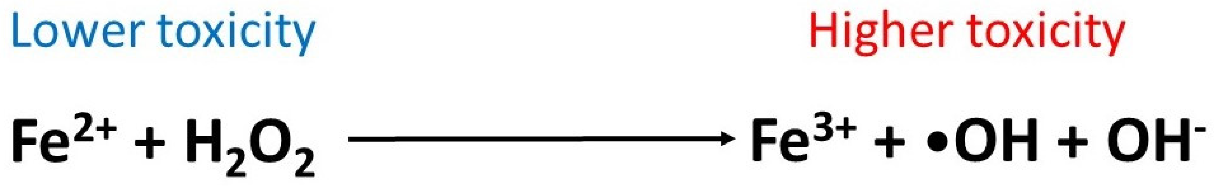 Ijms 24 12631 g005 Ijms 24 12631 g005