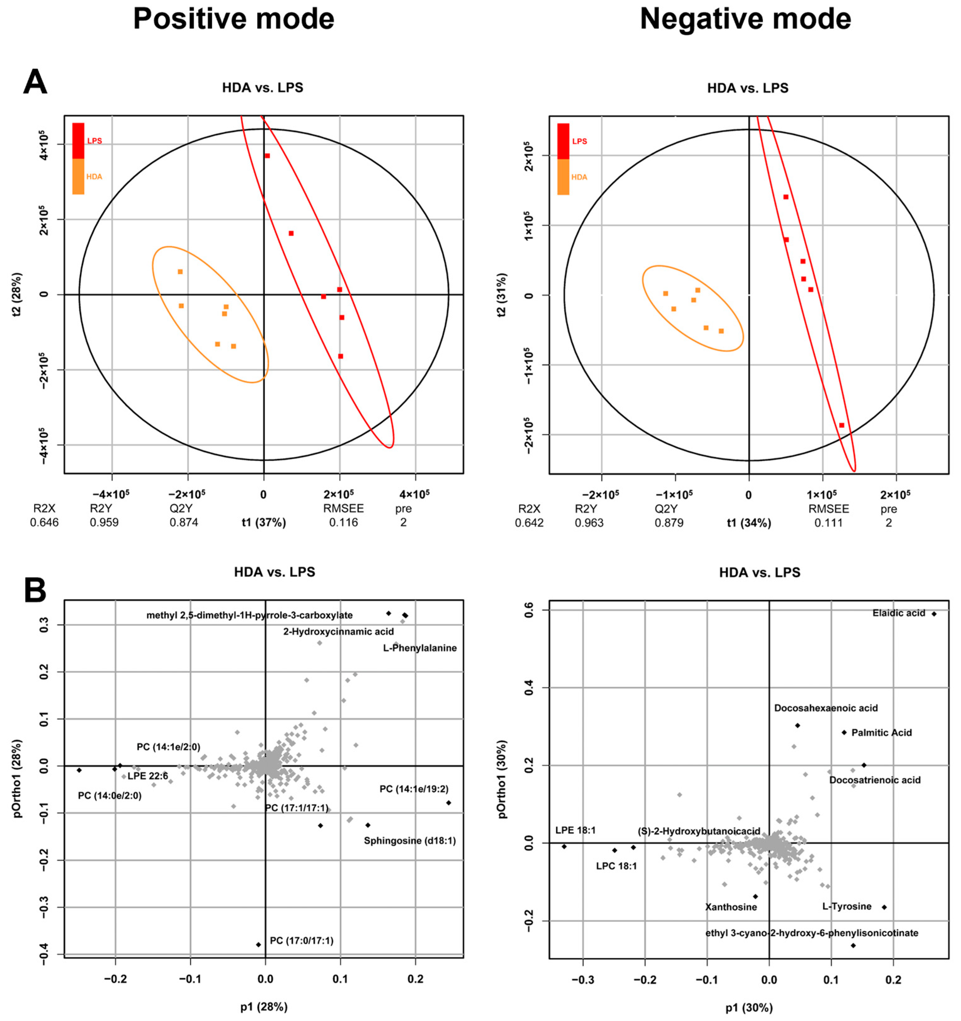 https://www.mdpi.com/ijms/ijms-24-12666/article_deploy/html/images/ijms-24-12666-g001.png