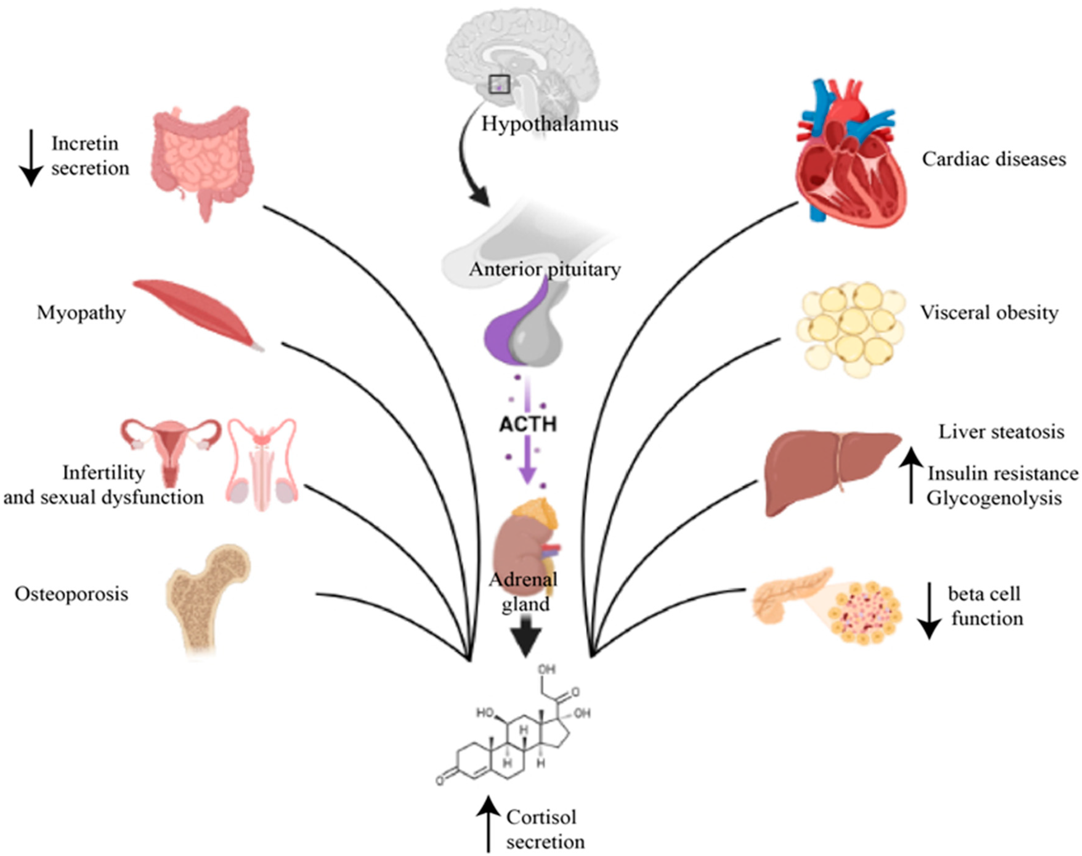 Ijms 24 12676 g002 Ijms 24 12676 g002