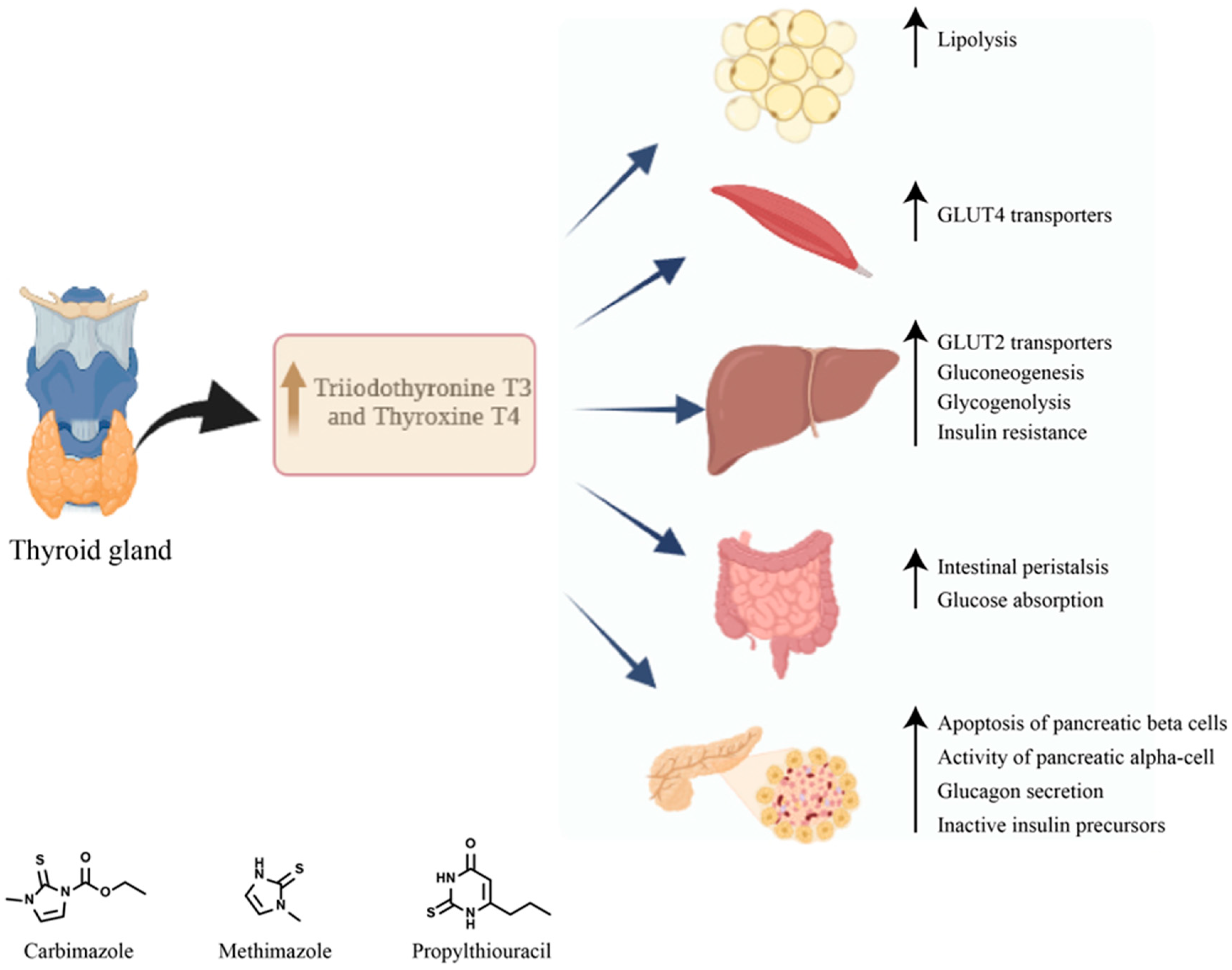 Ijms 24 12676 g004 Ijms 24 12676 g004