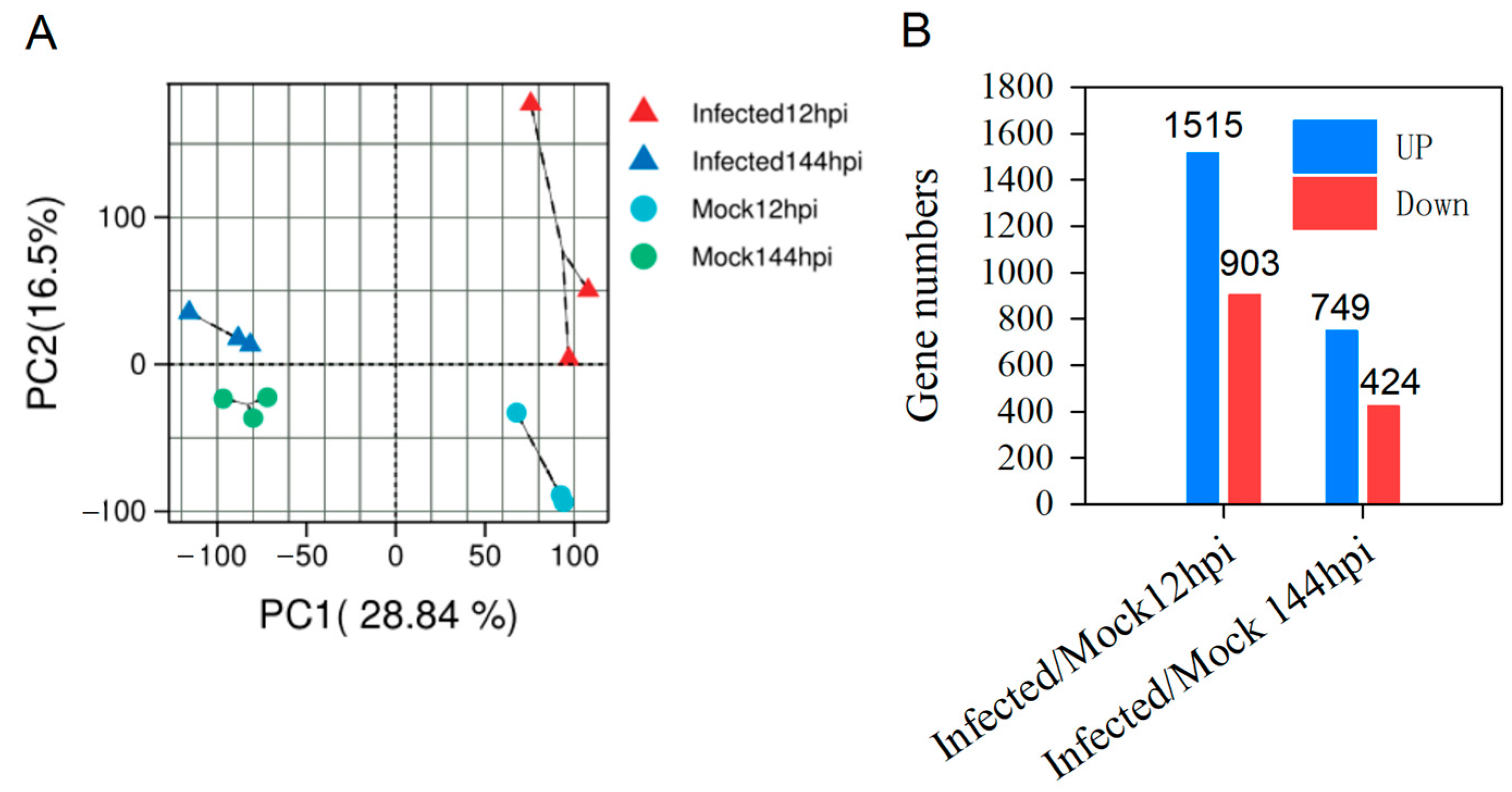 Ijms 24 12695 g002 Ijms 24 12695 g002
