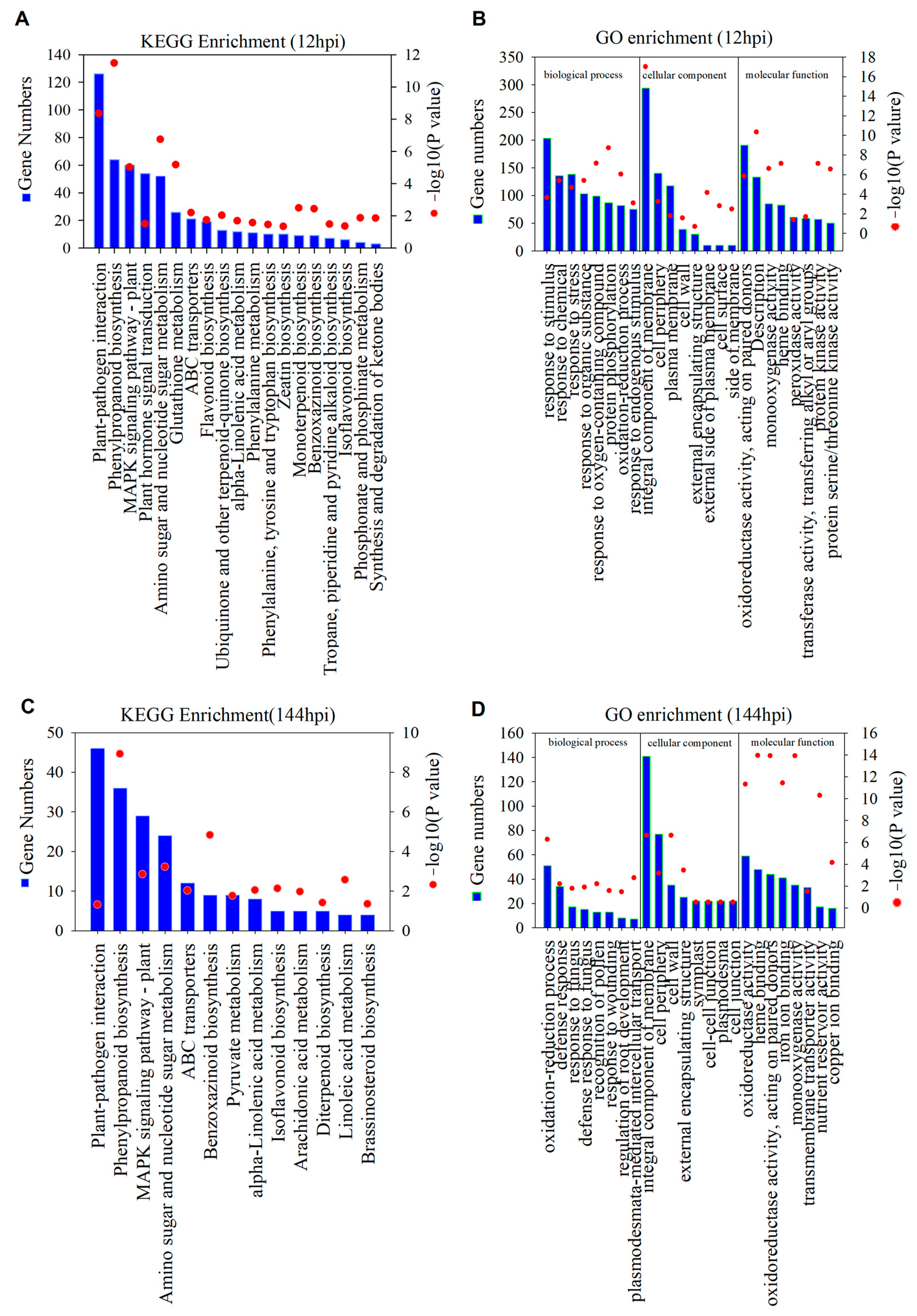 Ijms 24 12695 g003 Ijms 24 12695 g003