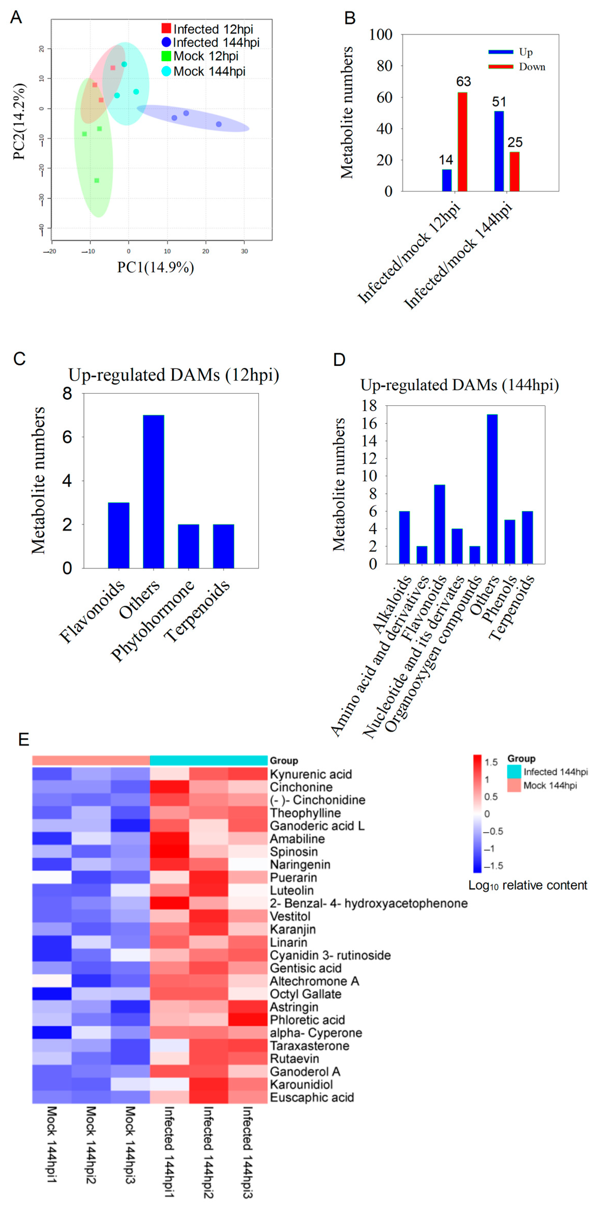 Ijms 24 12695 g006 Ijms 24 12695 g006