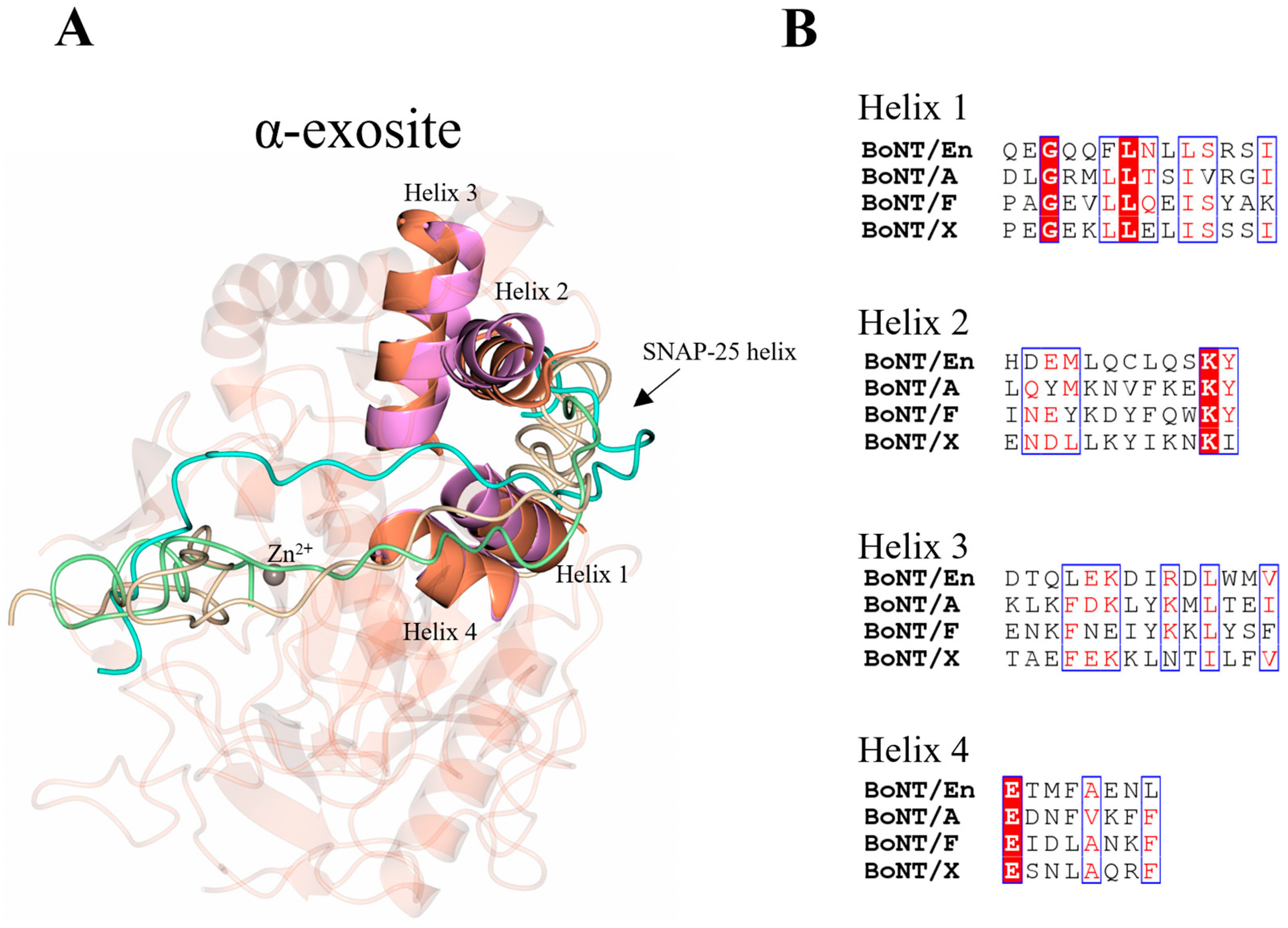 Ijms 24 12721 g007 Ijms 24 12721 g007