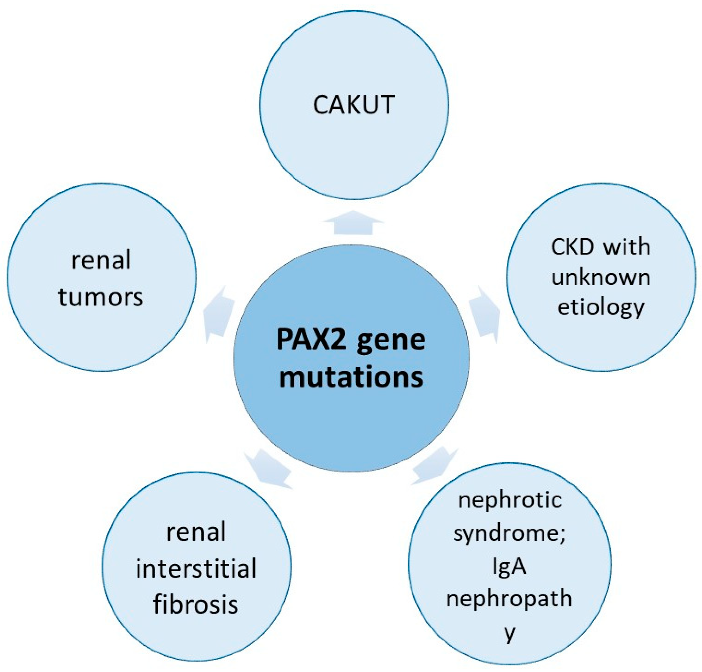 Ijms 24 12737 g003 Ijms 24 12737 g003